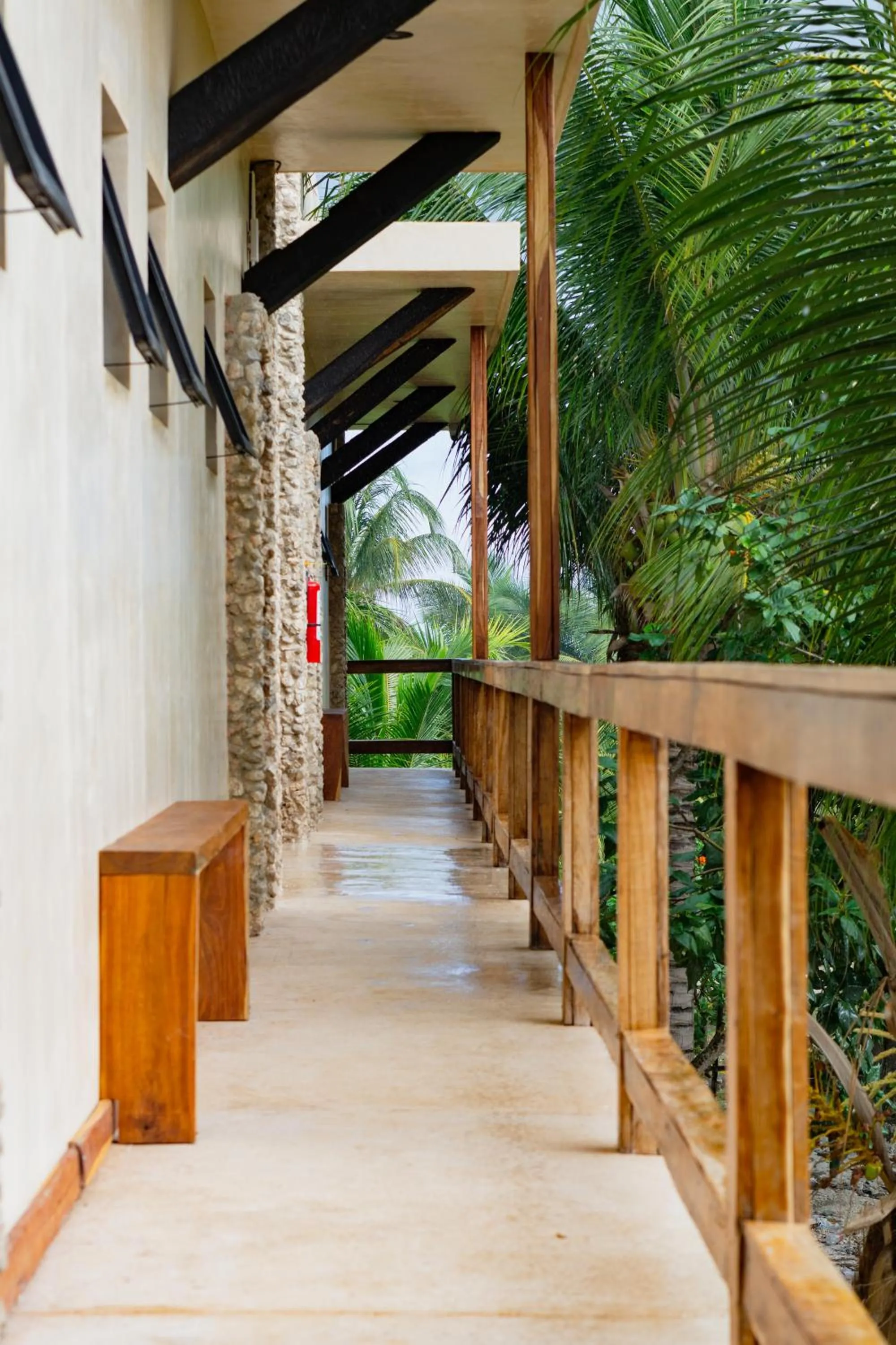 Garden view in Mero Mero Hotel