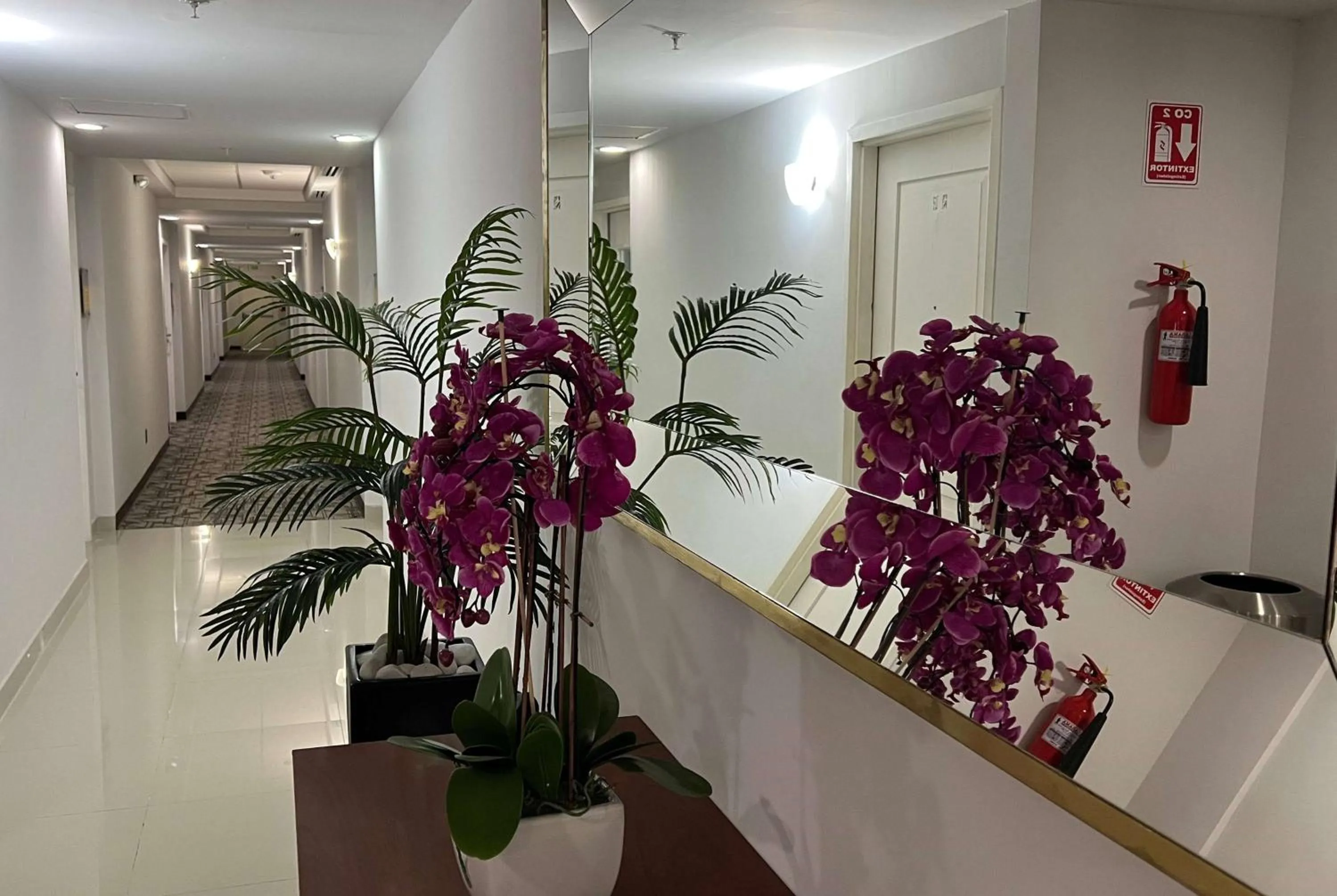 Other in La Quinta by Wyndham Reynosa