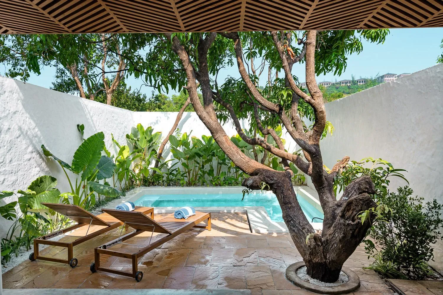 Azora by Ayatana, Goa