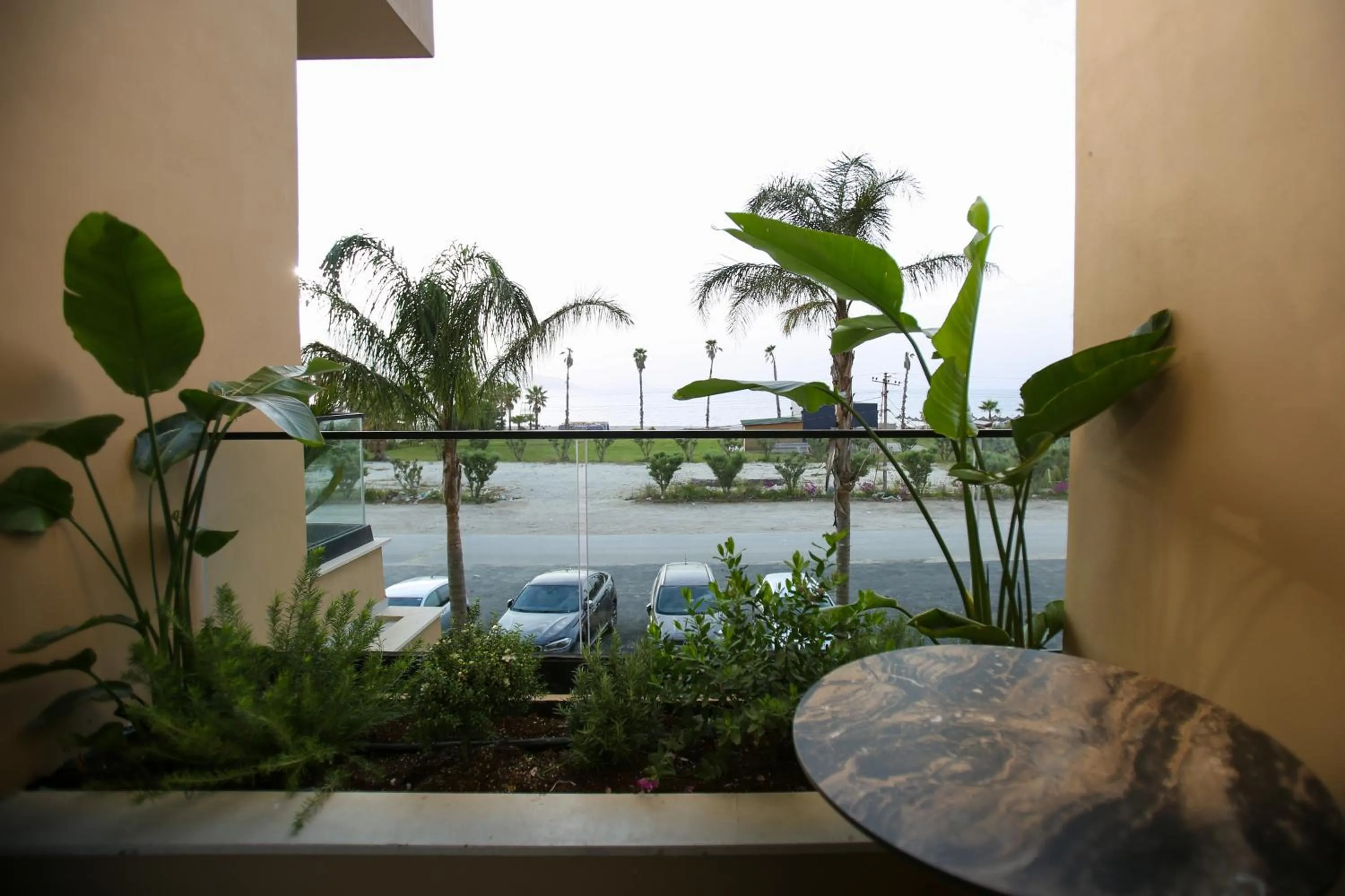 Balcony/Terrace in Regina Palm Resort