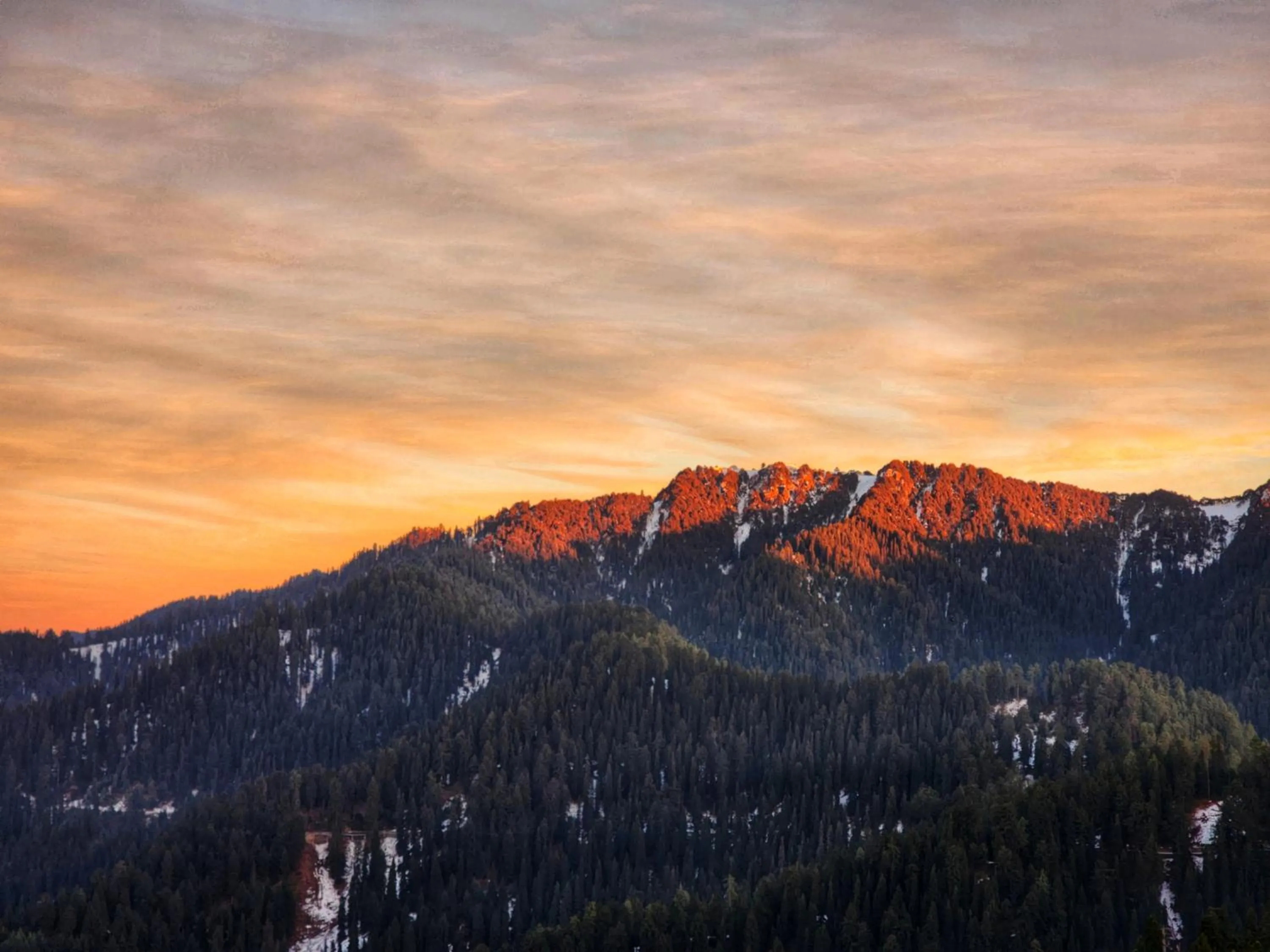 The White Season Residency