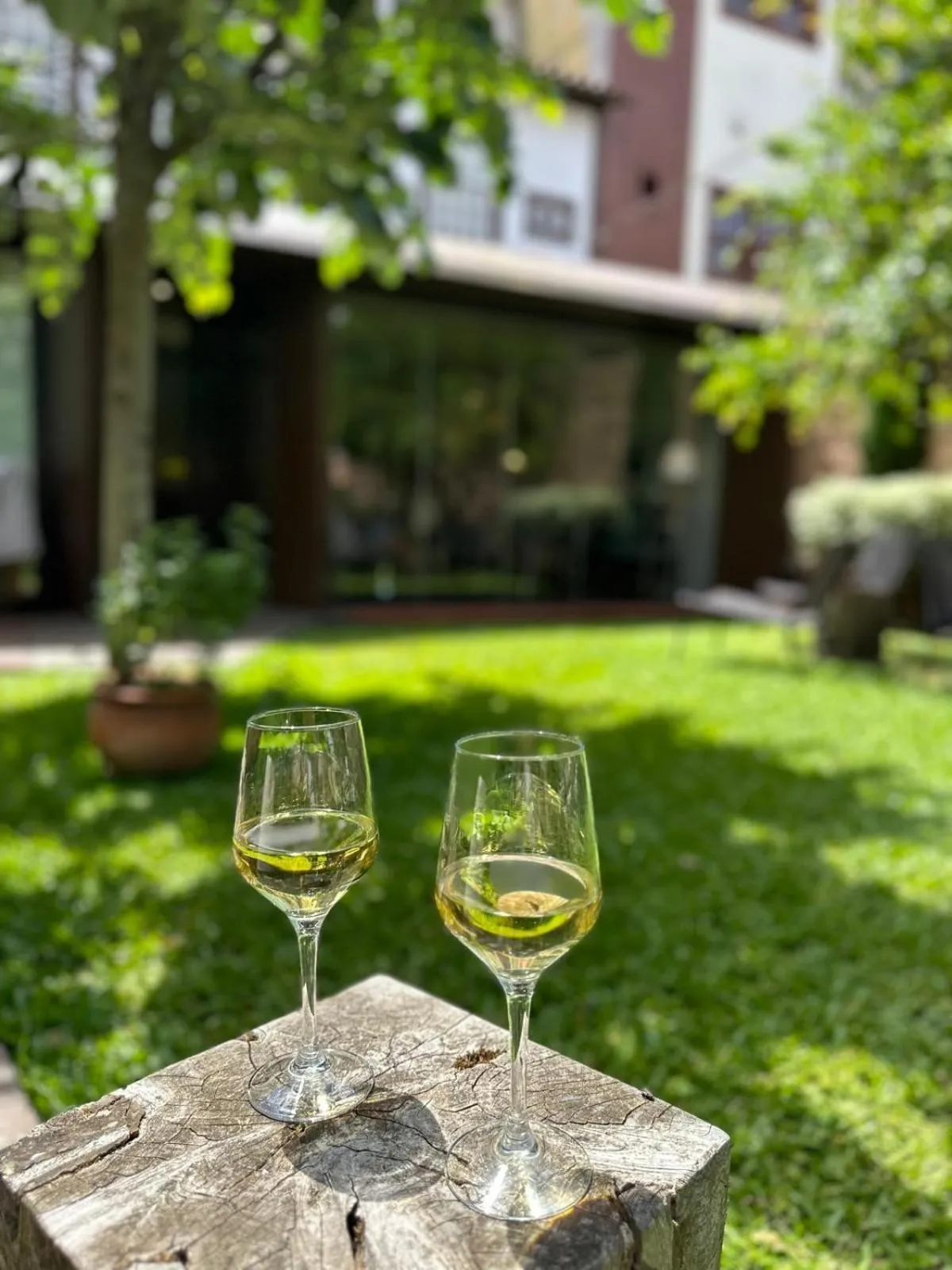 Garden in Casa do Juncal