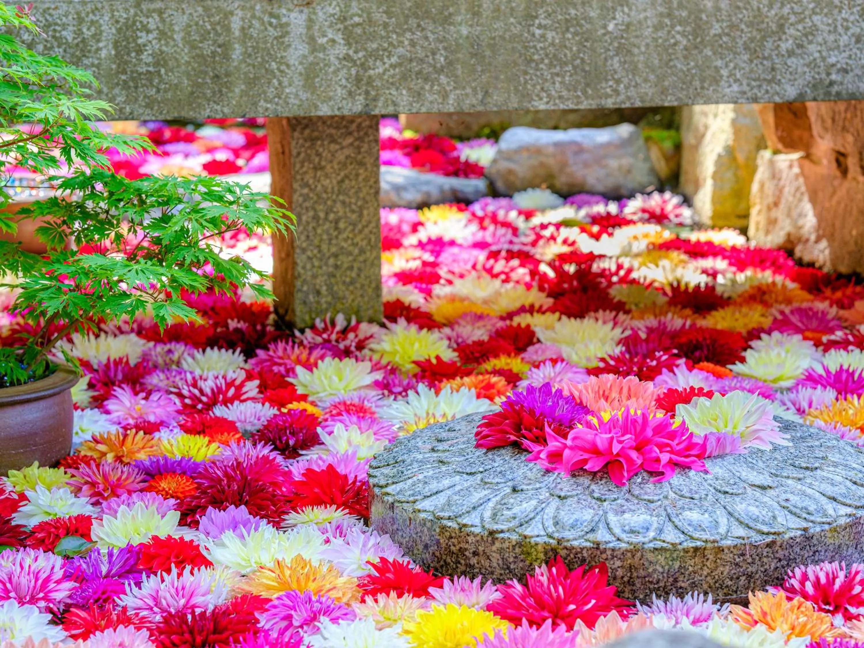 Nearby landmark in Grand Mercure Nara Kashihara