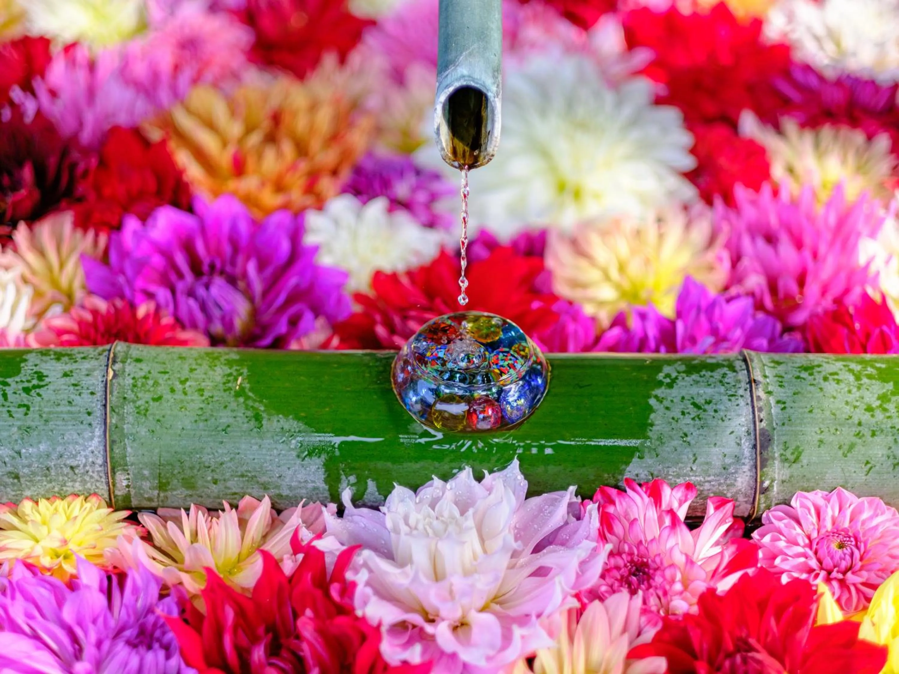 Nearby landmark in Grand Mercure Nara Kashihara