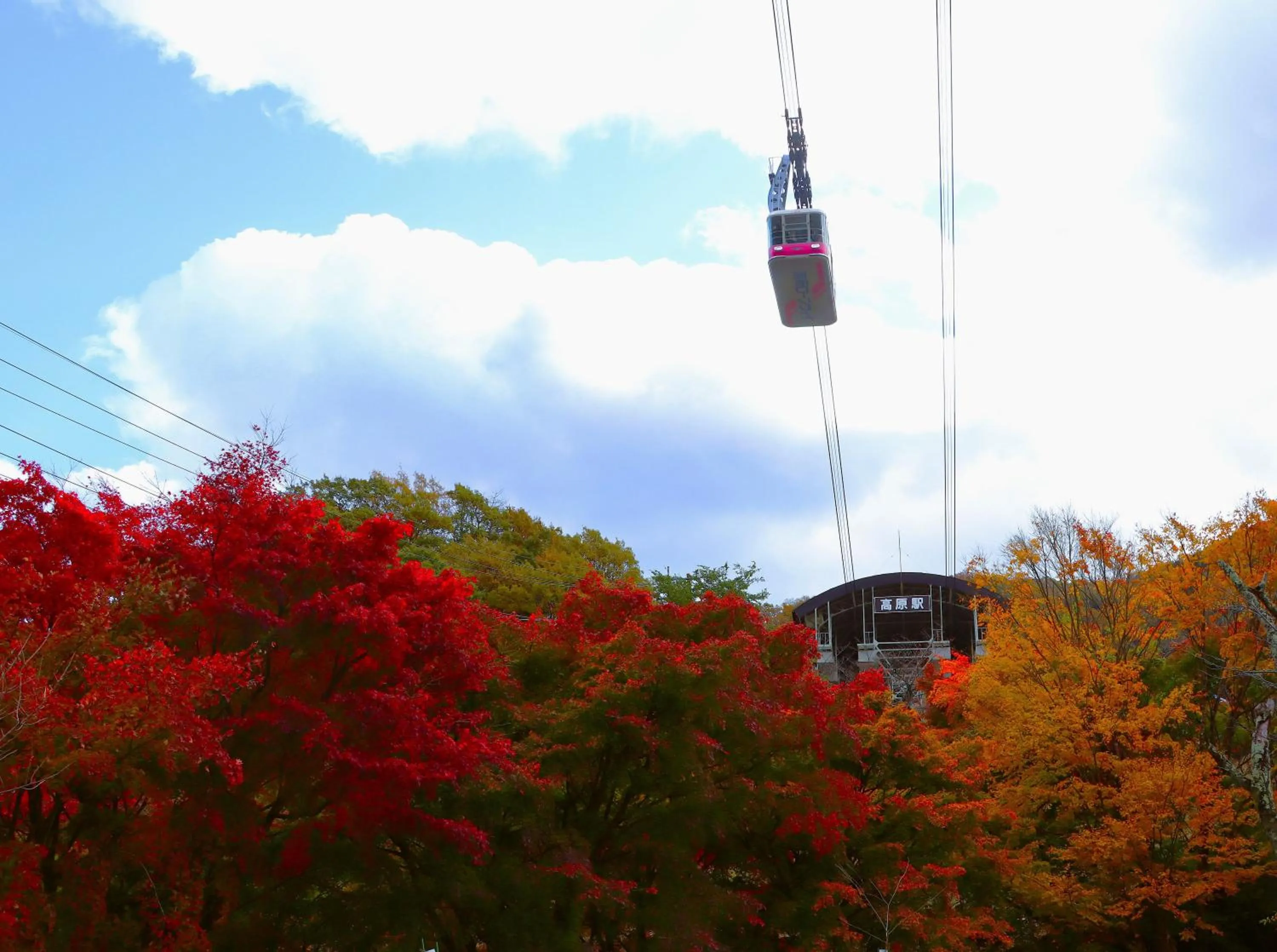 Nearby landmark in Grand Mercure Beppu Bay Resort & Spa