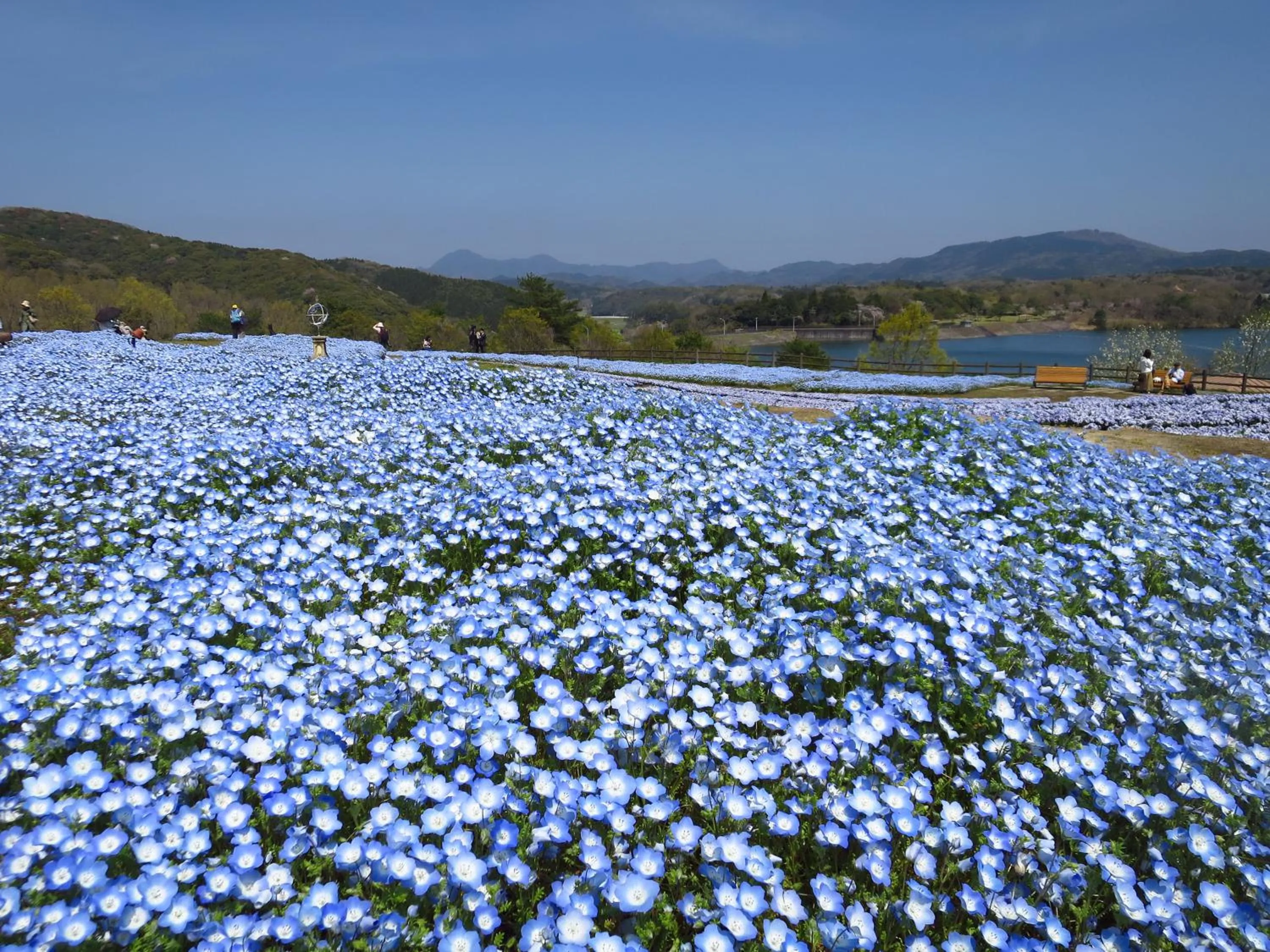 Nearby landmark in Grand Mercure Beppu Bay Resort & Spa