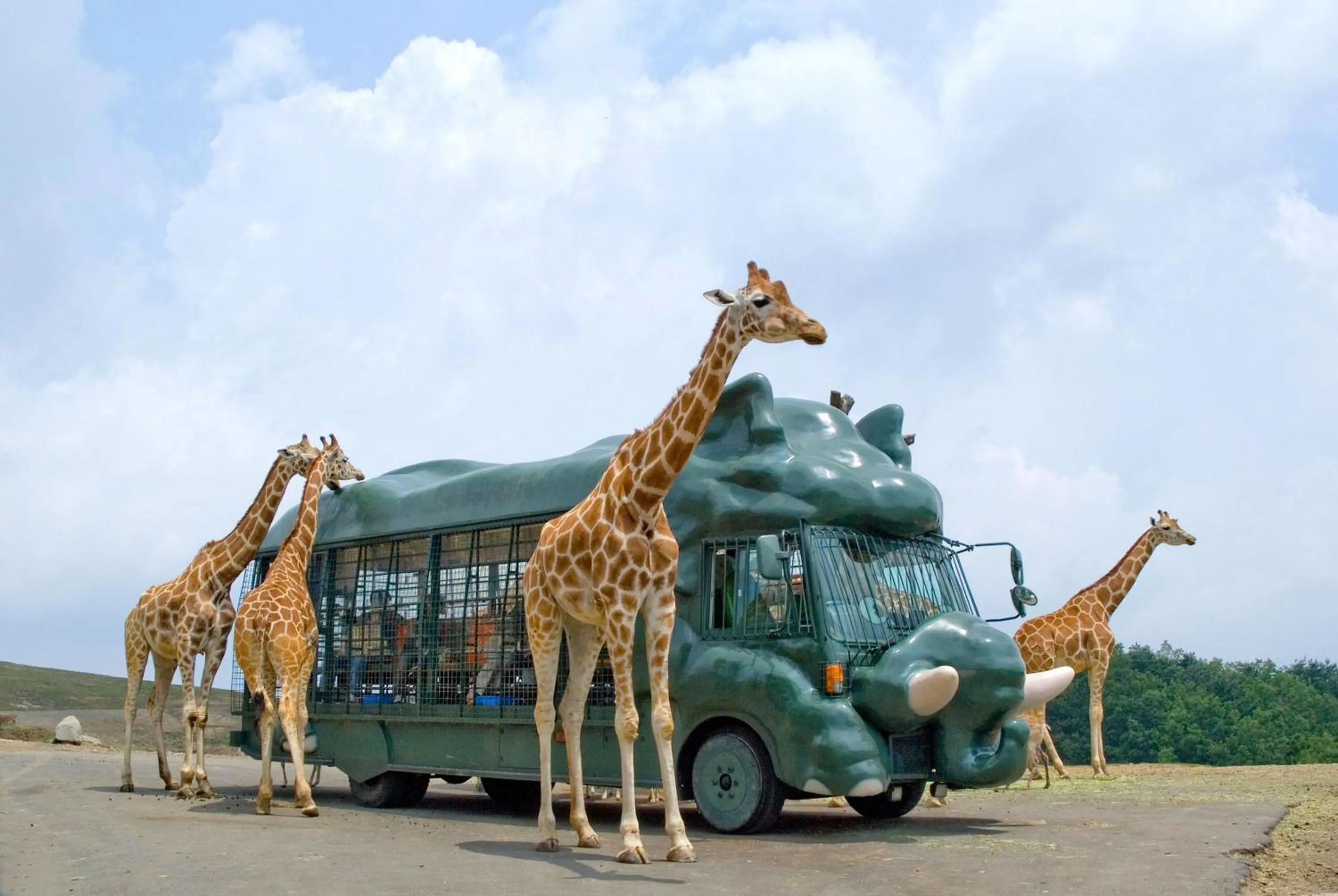 Nearby landmark in Grand Mercure Beppu Bay Resort & Spa