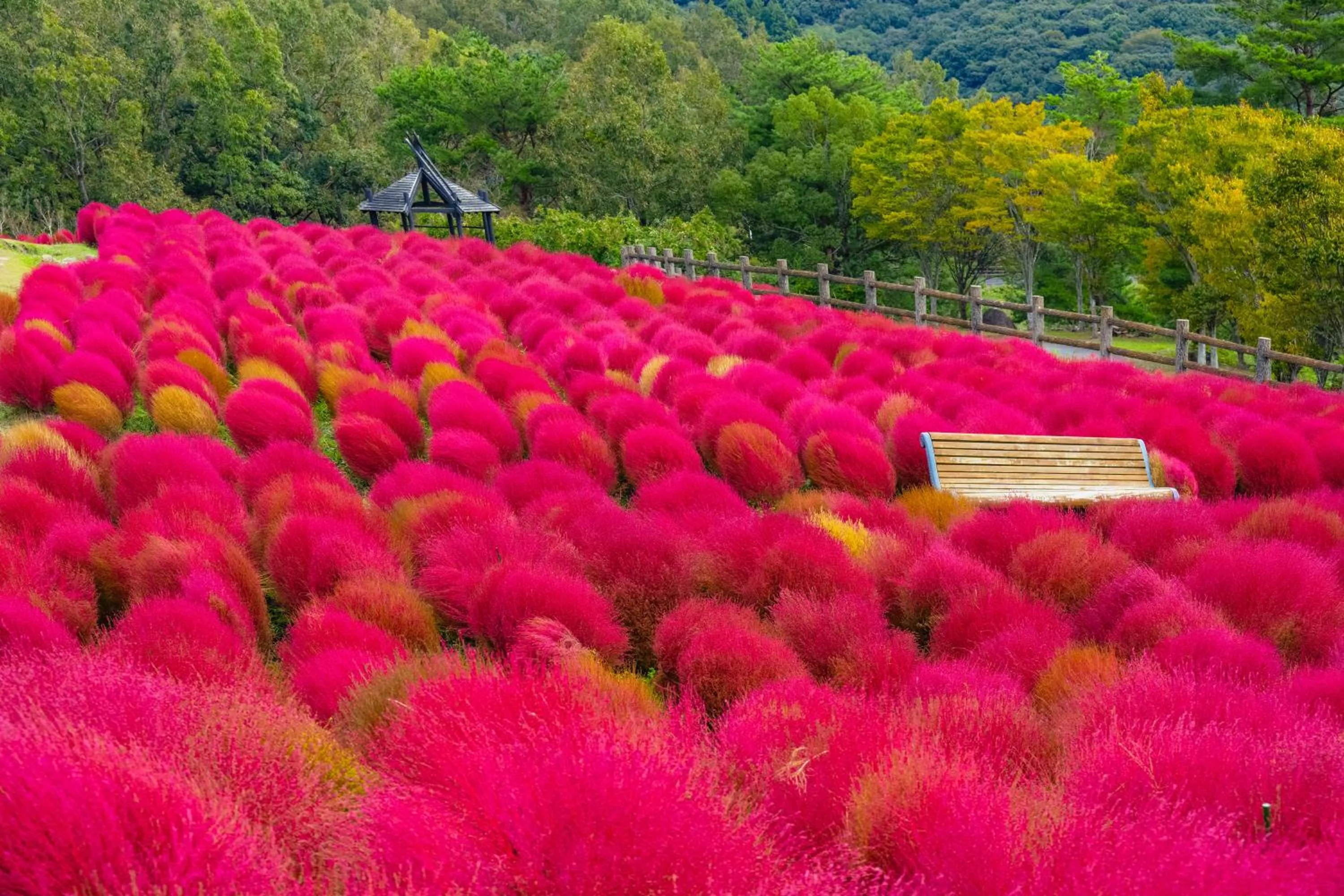 Nearby landmark in Grand Mercure Beppu Bay Resort & Spa