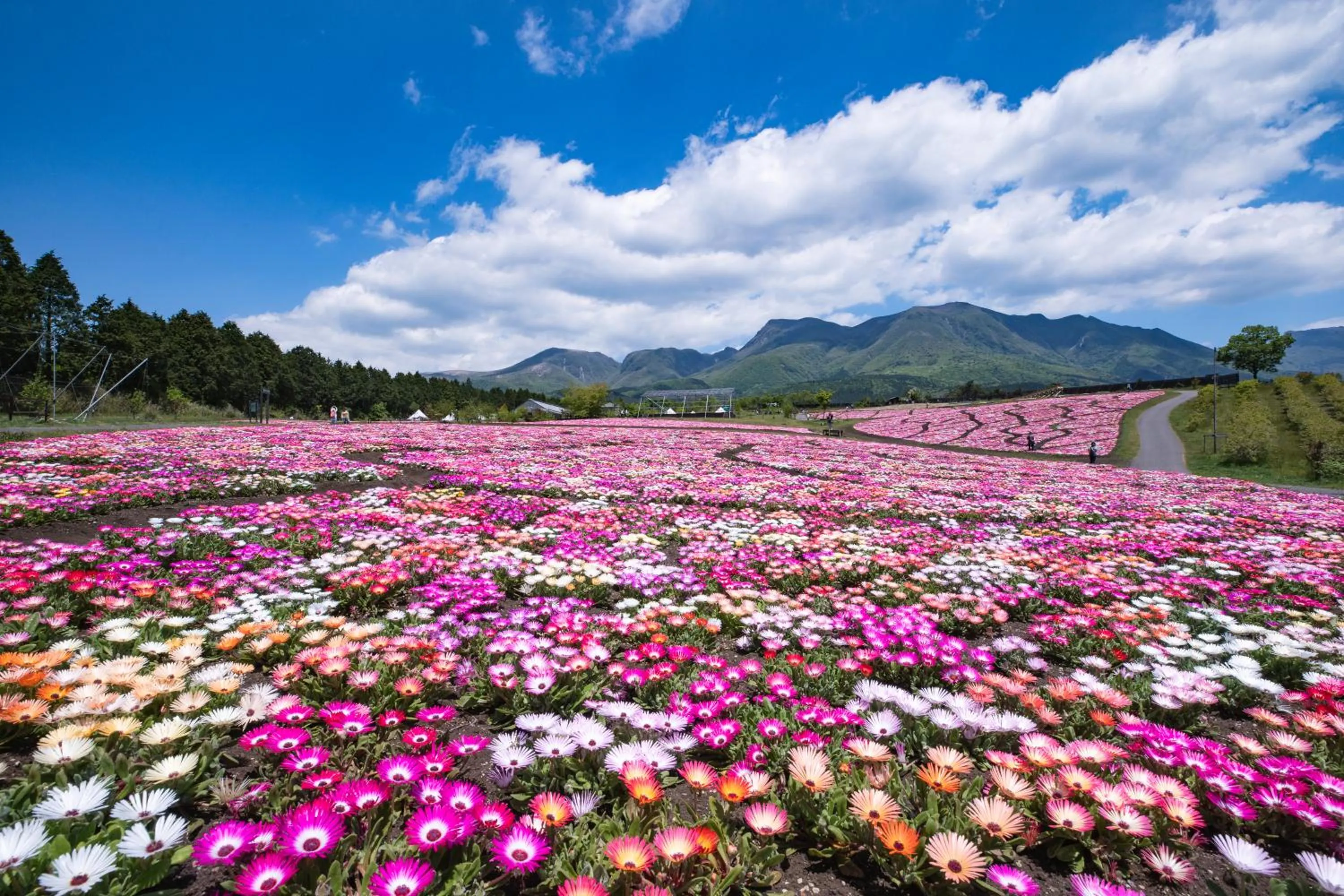 Nearby landmark in Grand Mercure Beppu Bay Resort & Spa