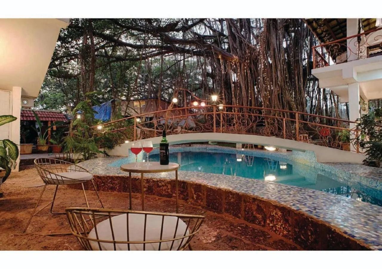 Patio in Vibes Inn Singing Tree