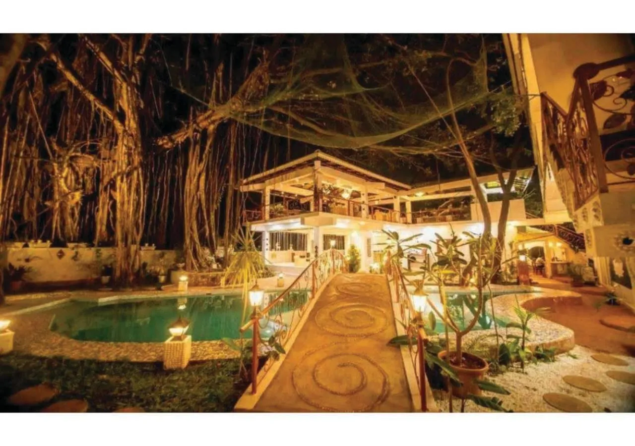 Vibes Inn Singing Tree