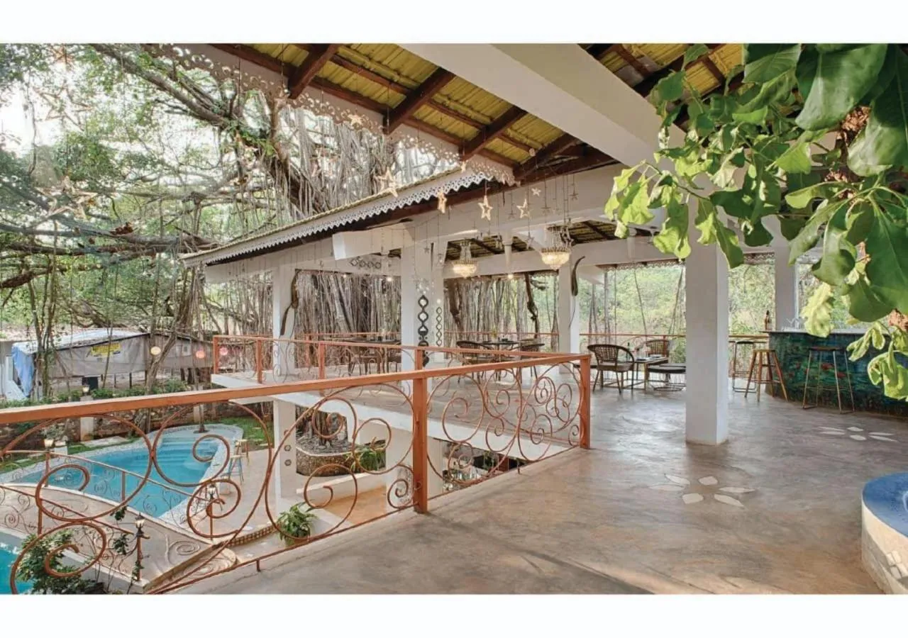 Area and facilities in Vibes Inn Singing Tree