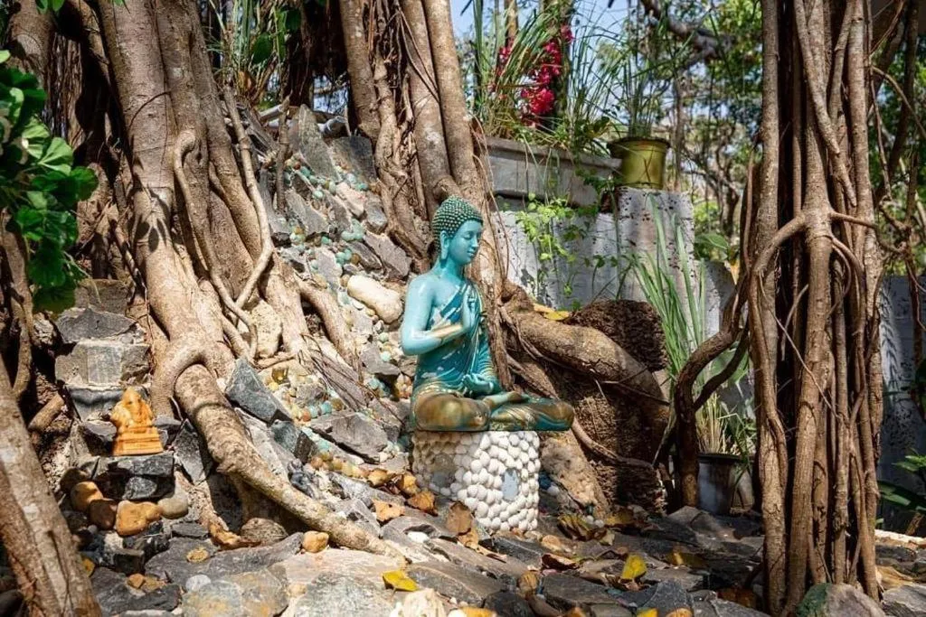 Spring in Vibes Inn Singing Tree