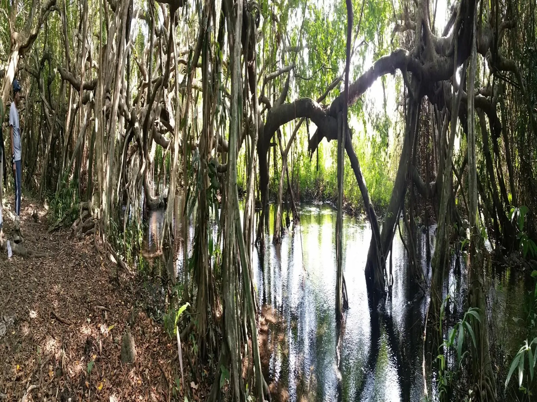 Off site in Cat Tien Jungle Lodge