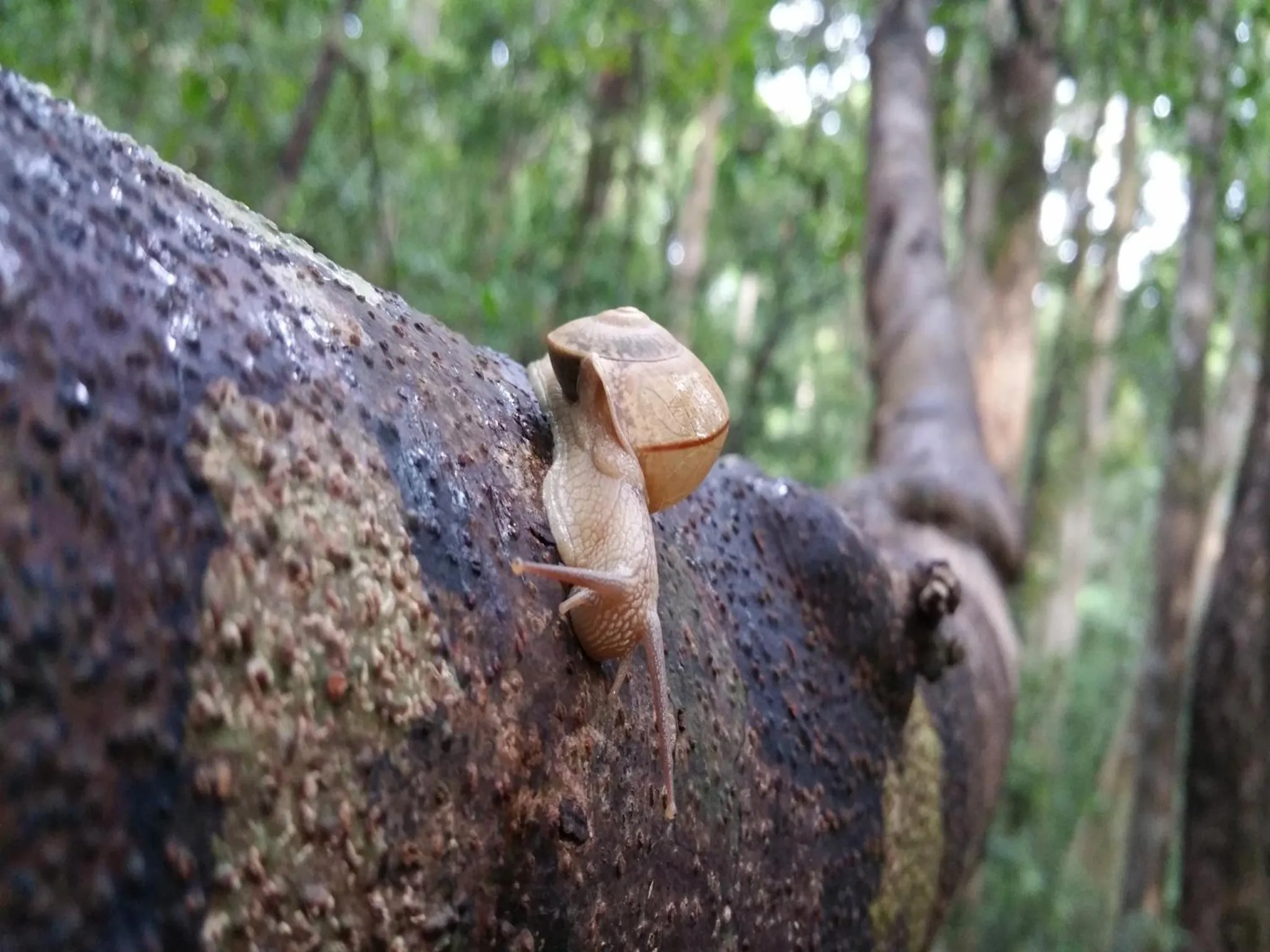 Off site in Cat Tien Jungle Lodge