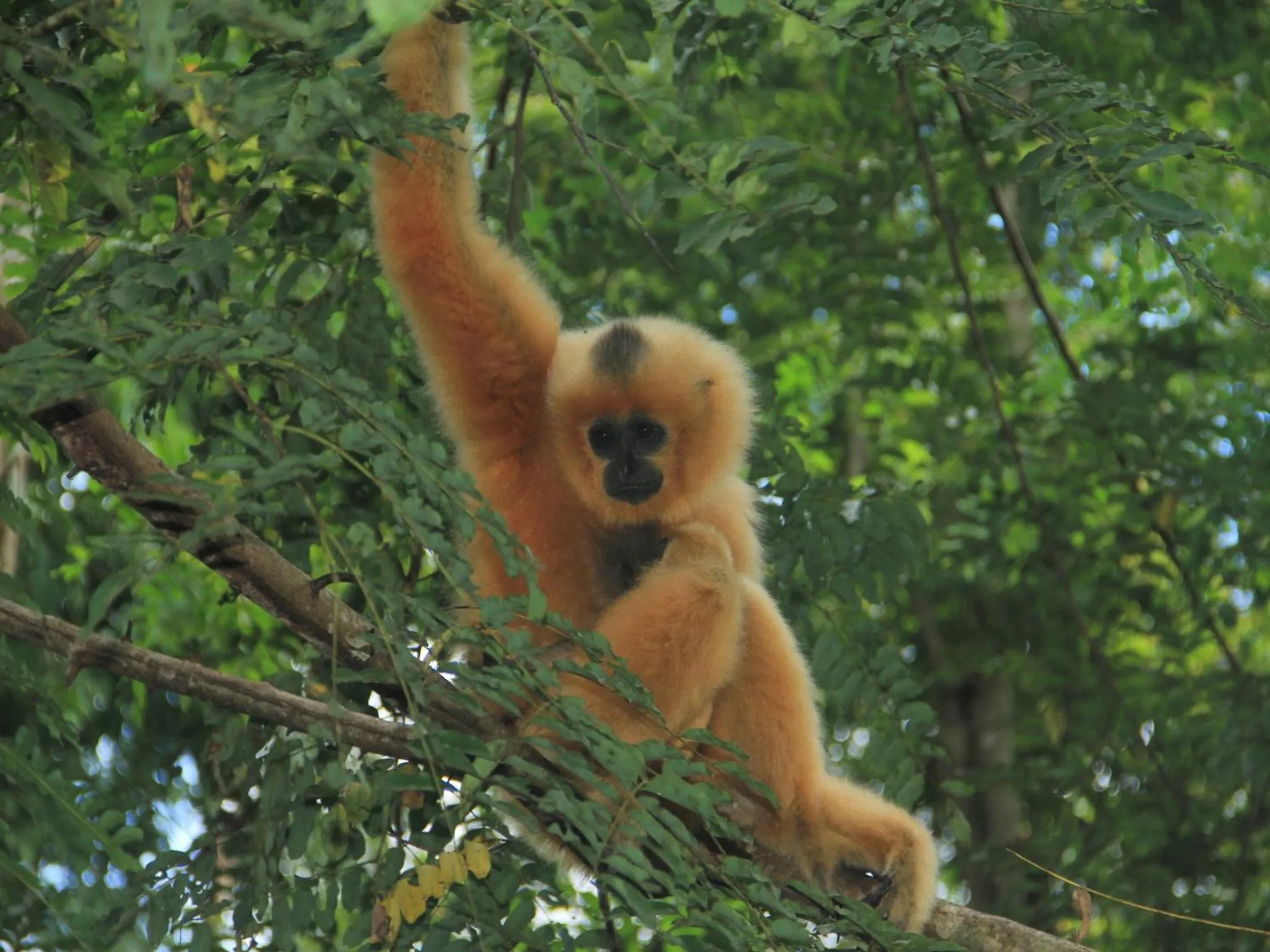 Off site in Cat Tien Jungle Lodge