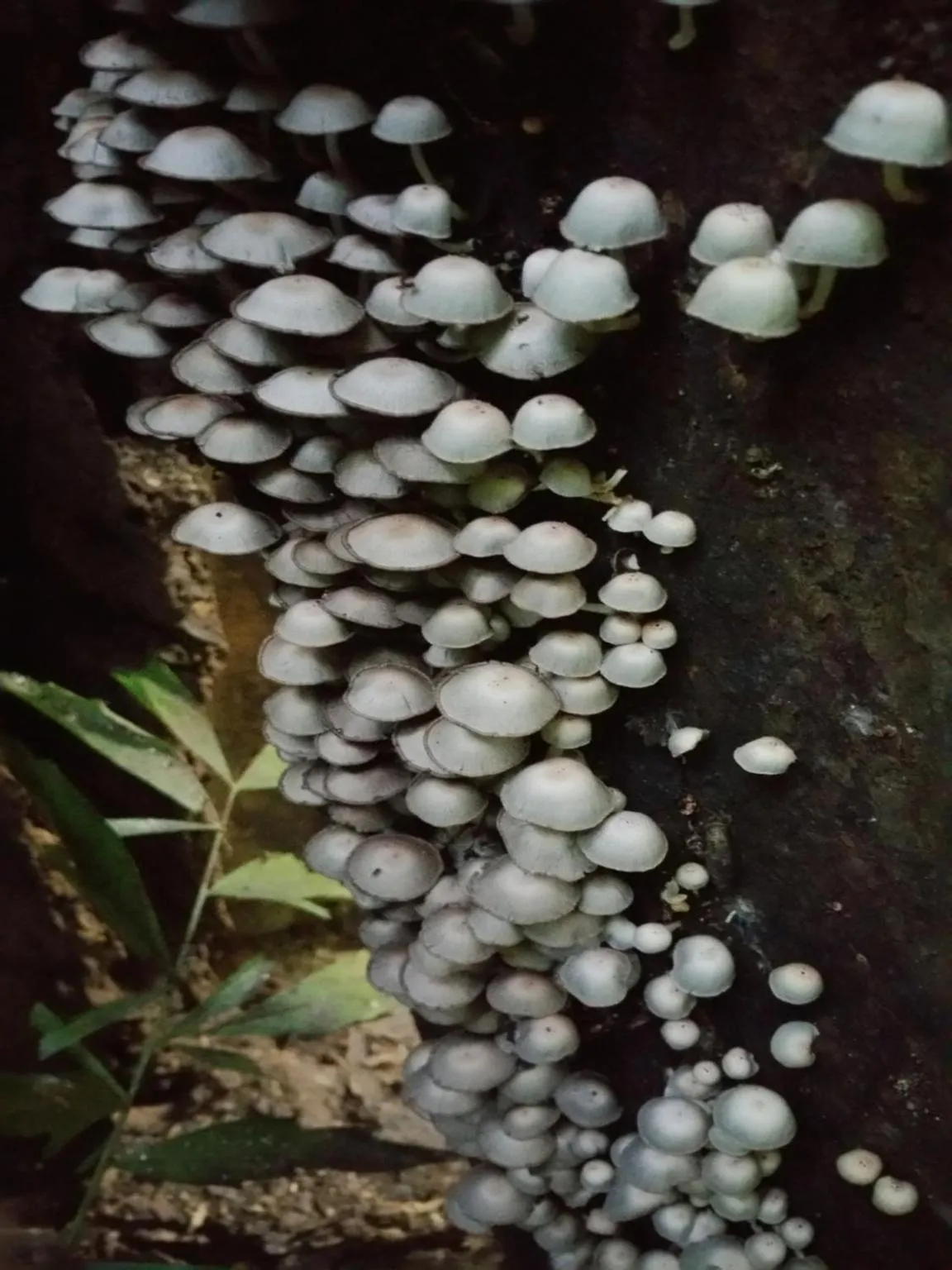 Off site in Cat Tien Jungle Lodge