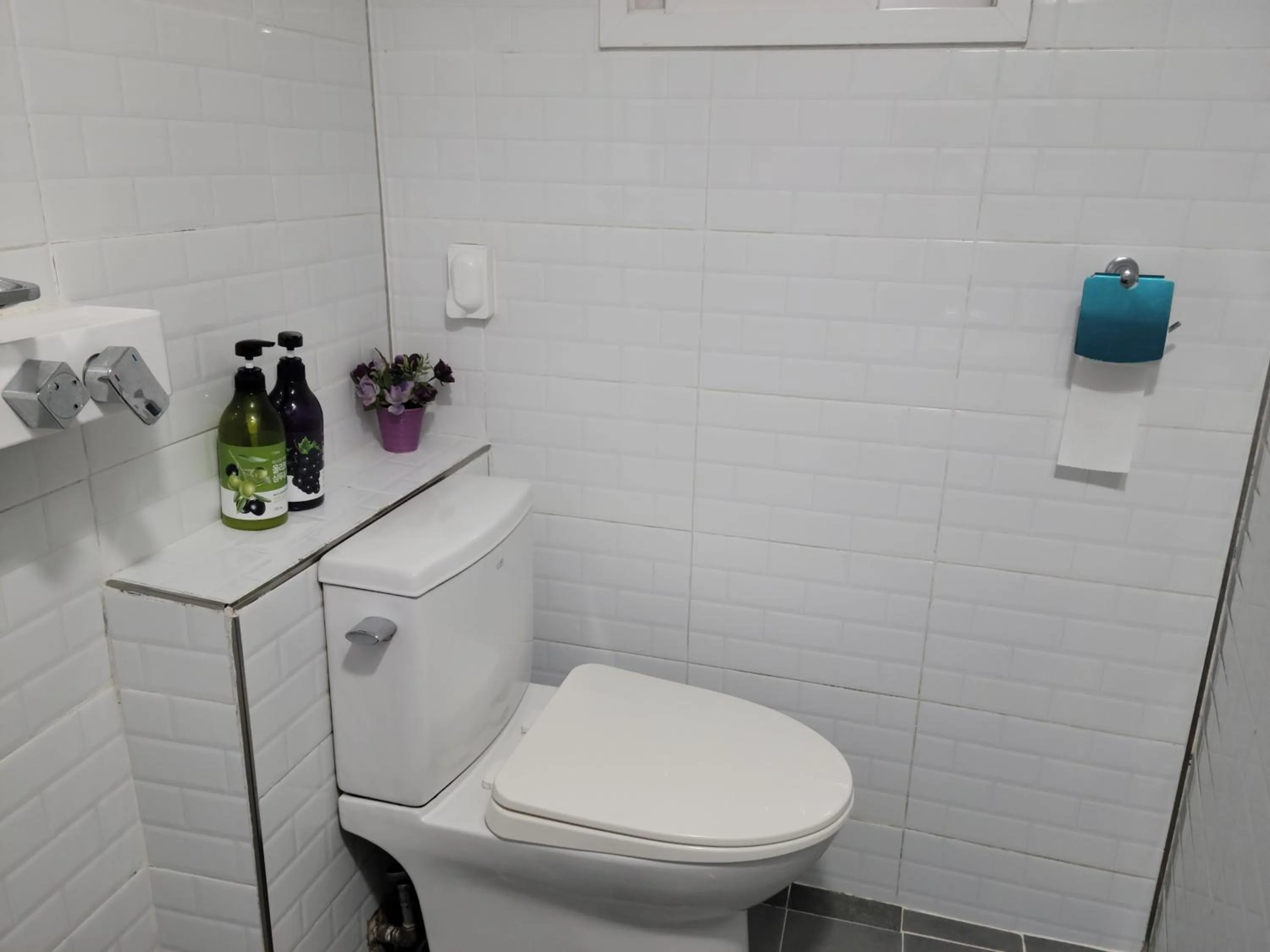 Toilet in Jeju Vision House