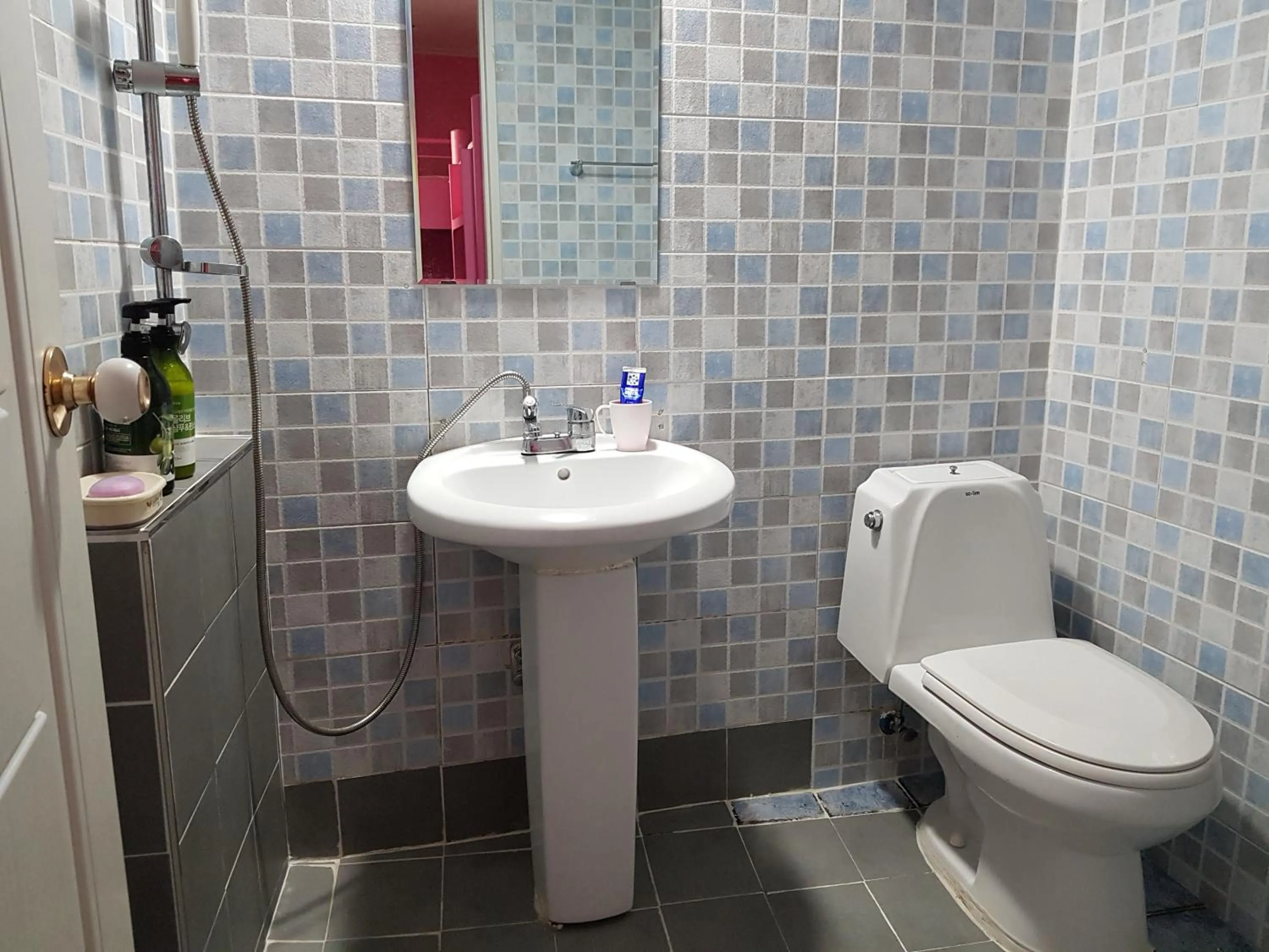 Toilet in Jeju Vision House