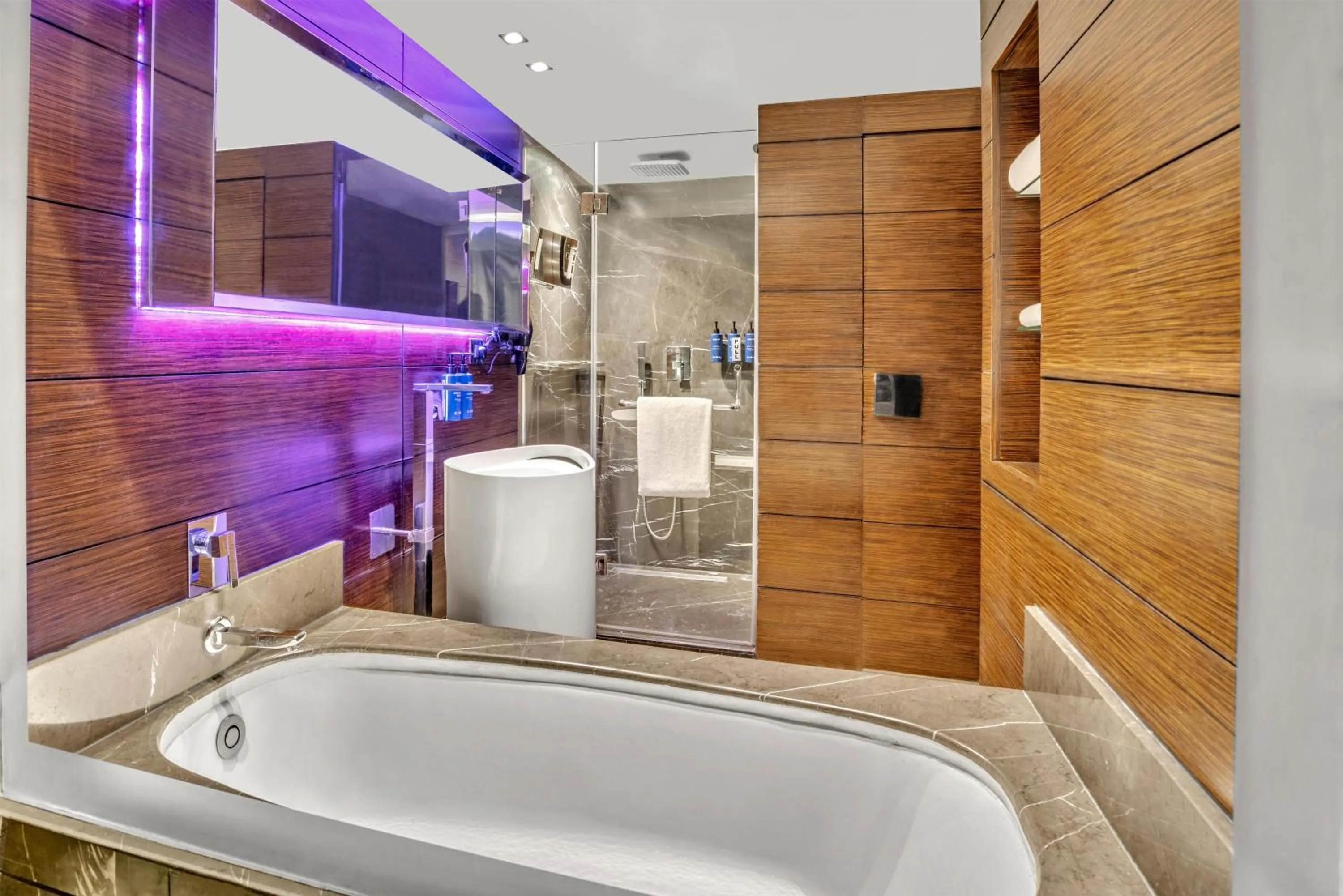 Bathroom in Radisson Blu Atria Bengaluru