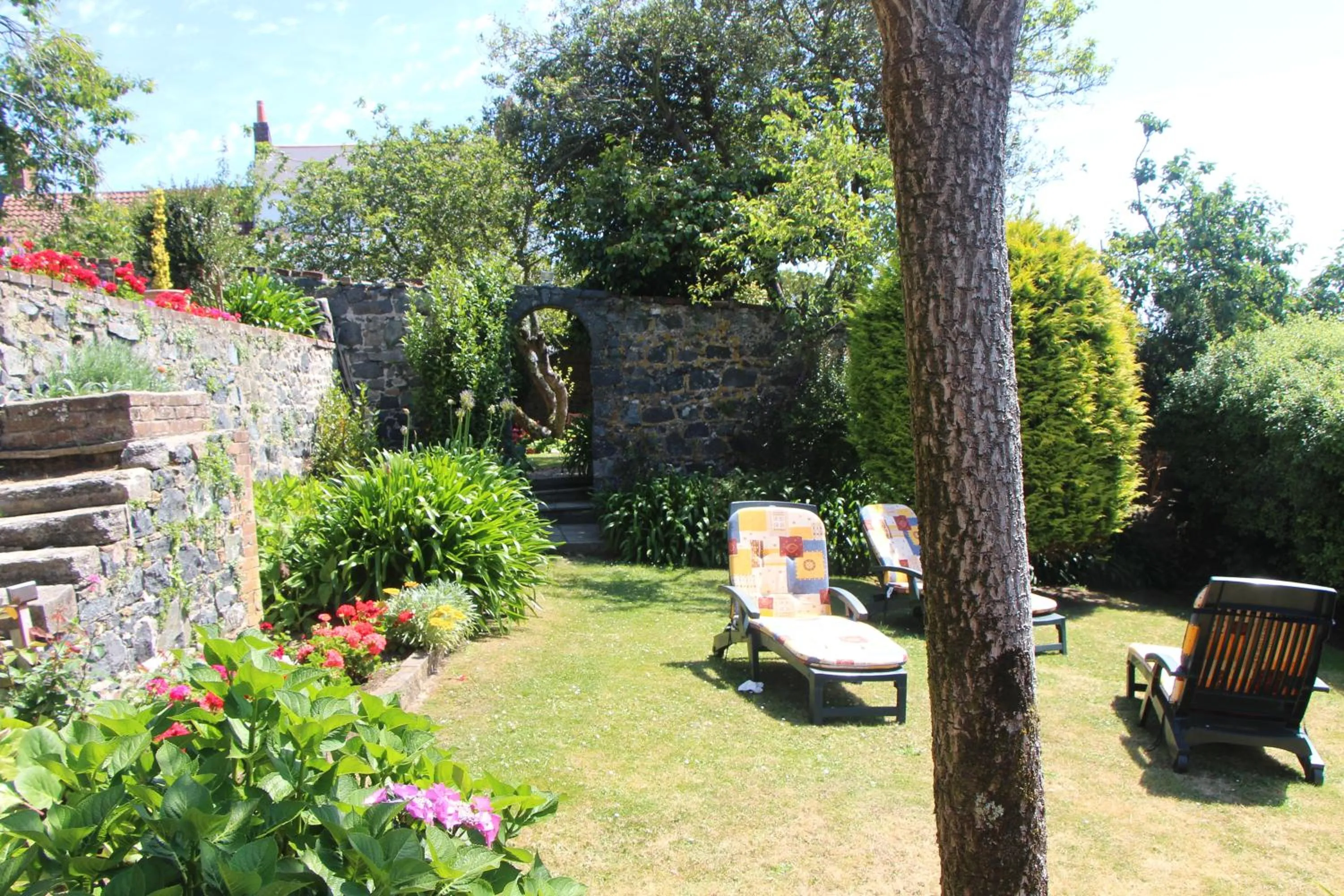 Garden in Pandora Hotel