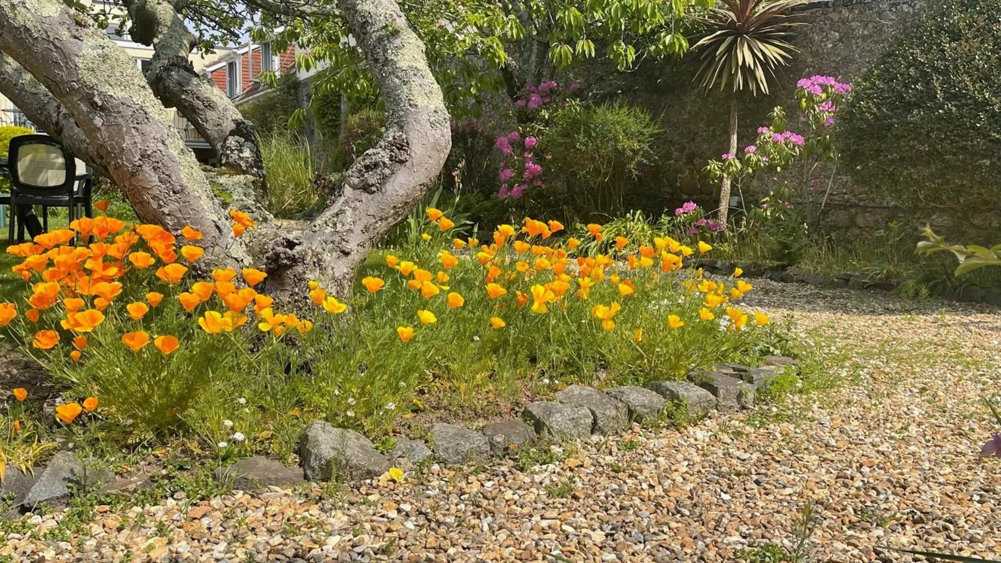 Garden in Pandora Hotel