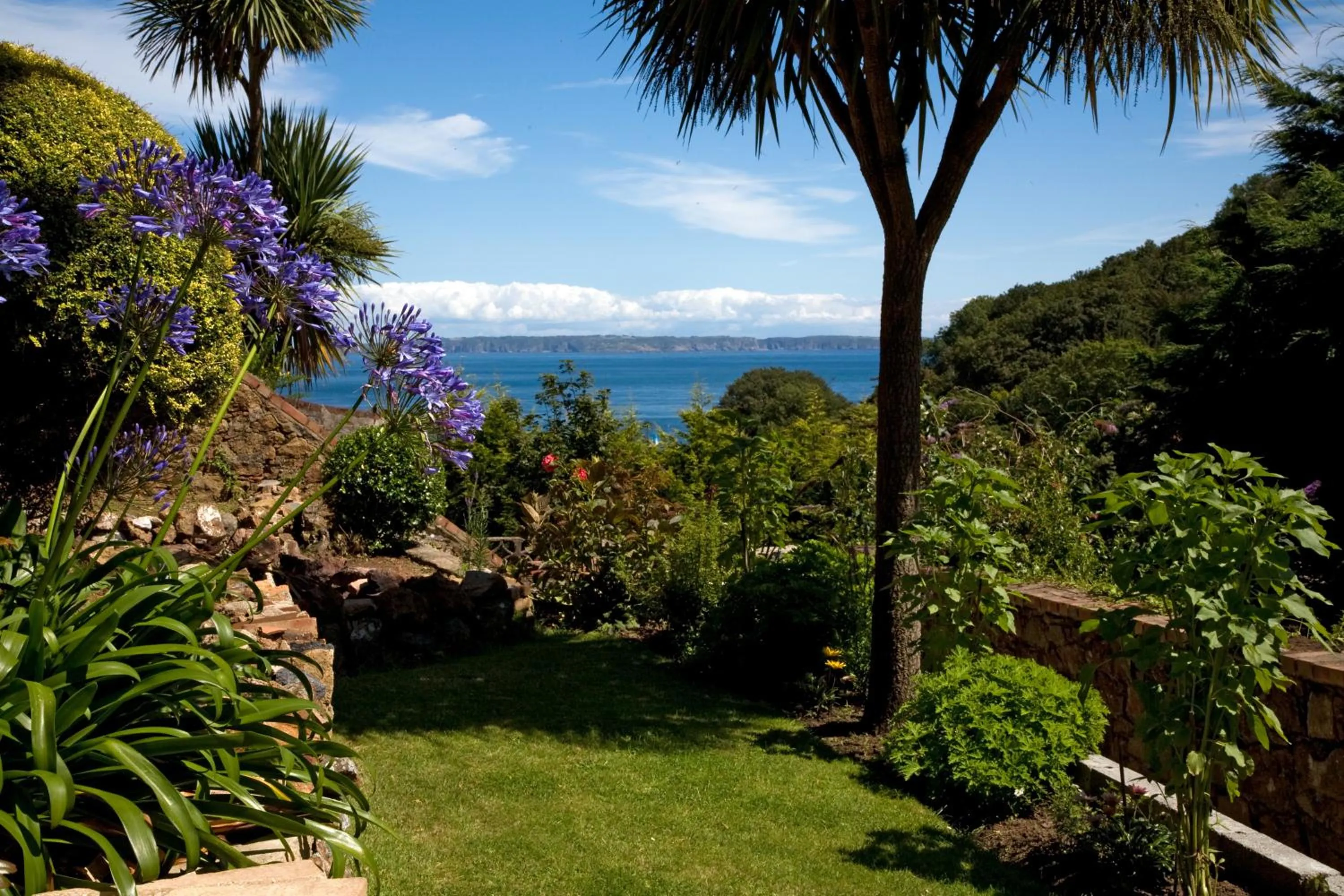 Garden in Pandora Hotel