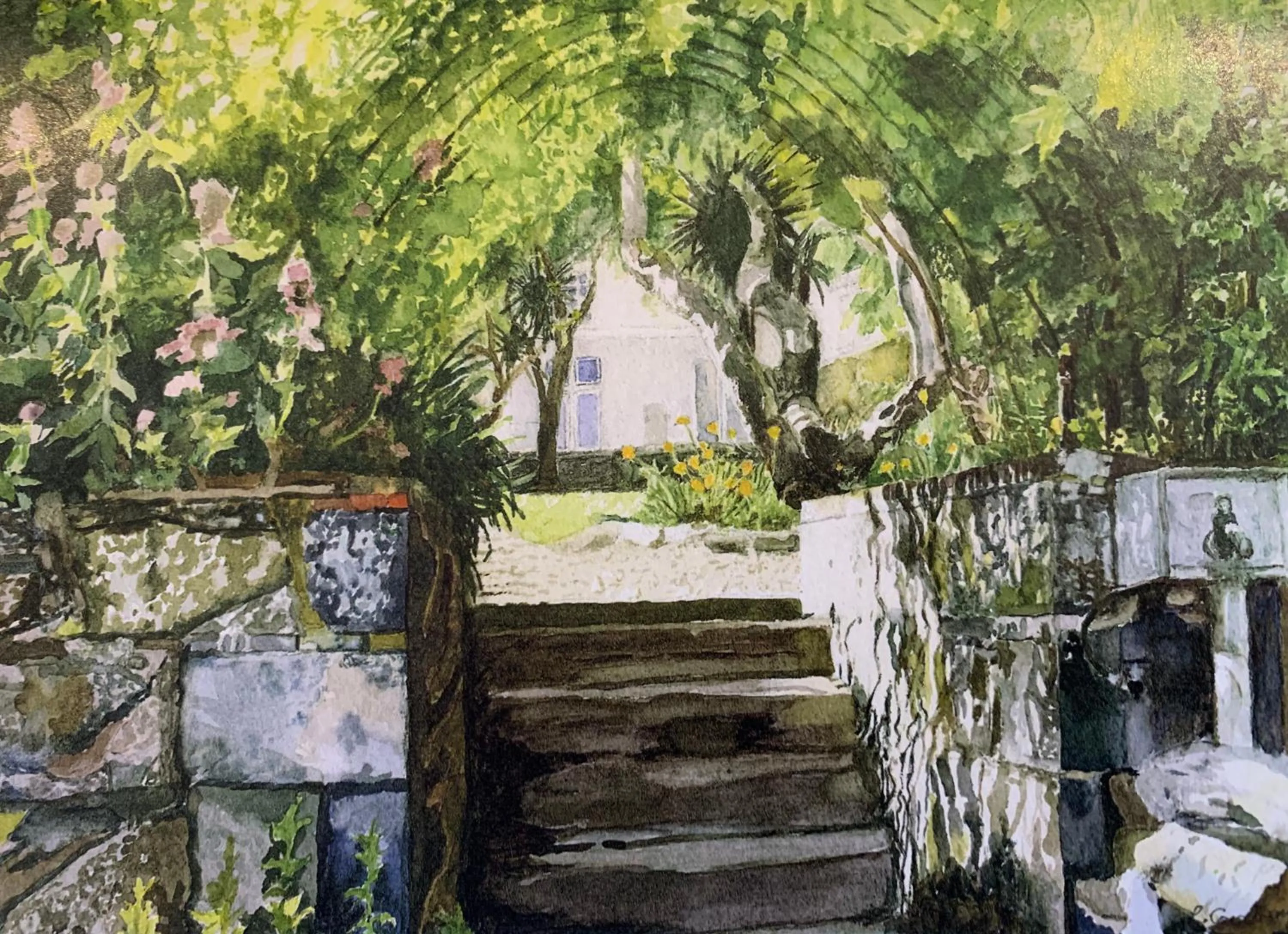 Garden in Pandora Hotel