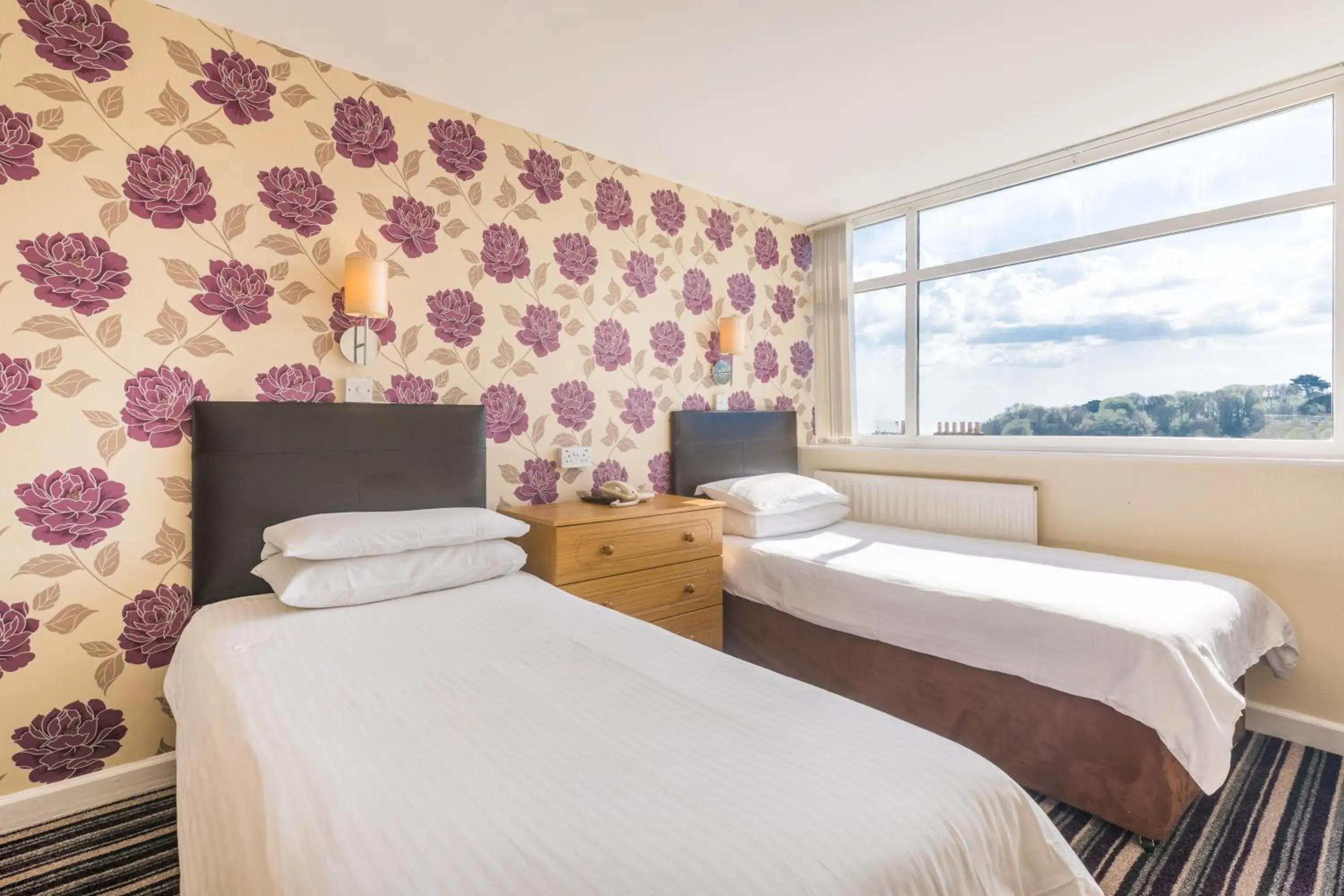 Twin Room - single occupancy in Pandora Hotel Twin Room - single occupancy in Pandora Hotel