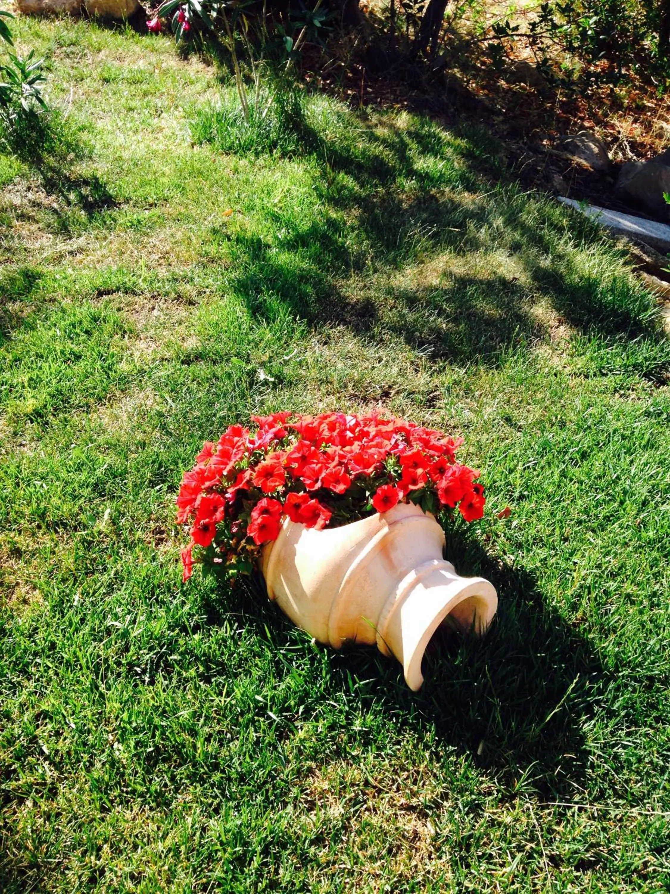 I Mari Di Gallura Suites and Rooms