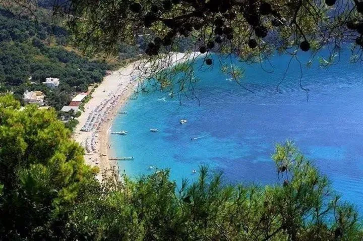 Beach in Hotel Agios Thomas