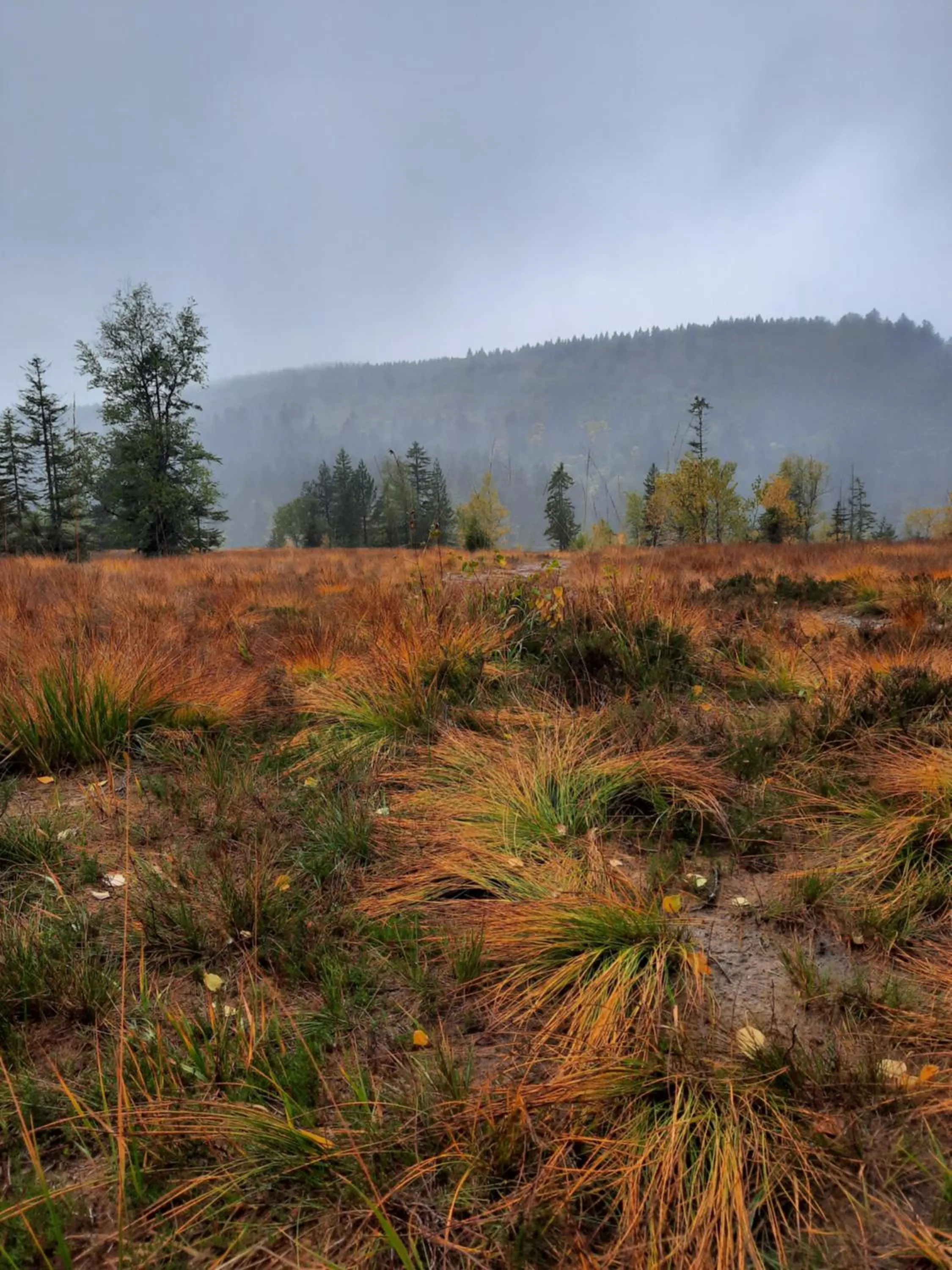 Natural landscape in Au Cœur des Lacs - Chambres d'hôtes