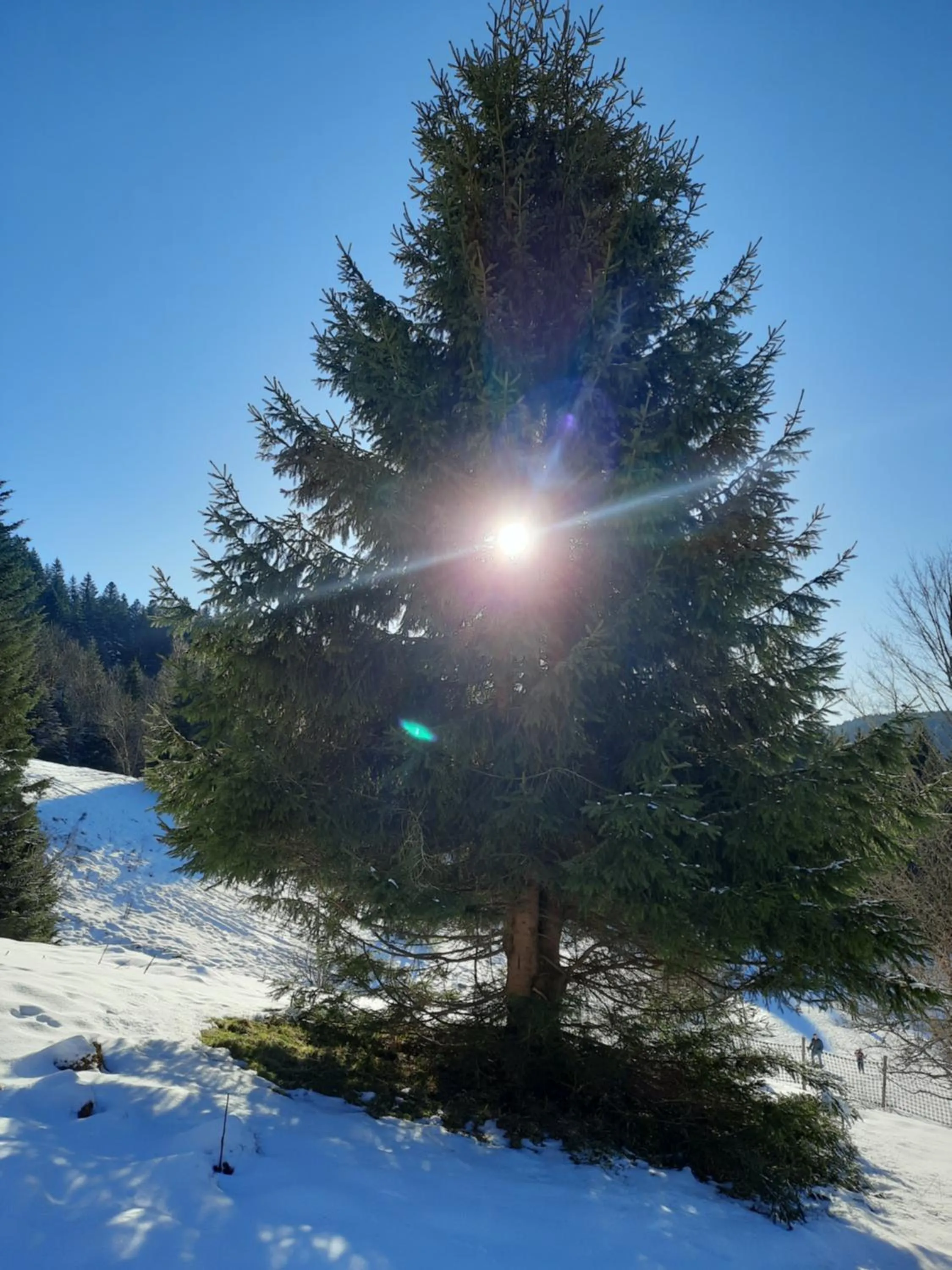 Natural landscape in Au Cœur des Lacs - Chambres d'hôtes