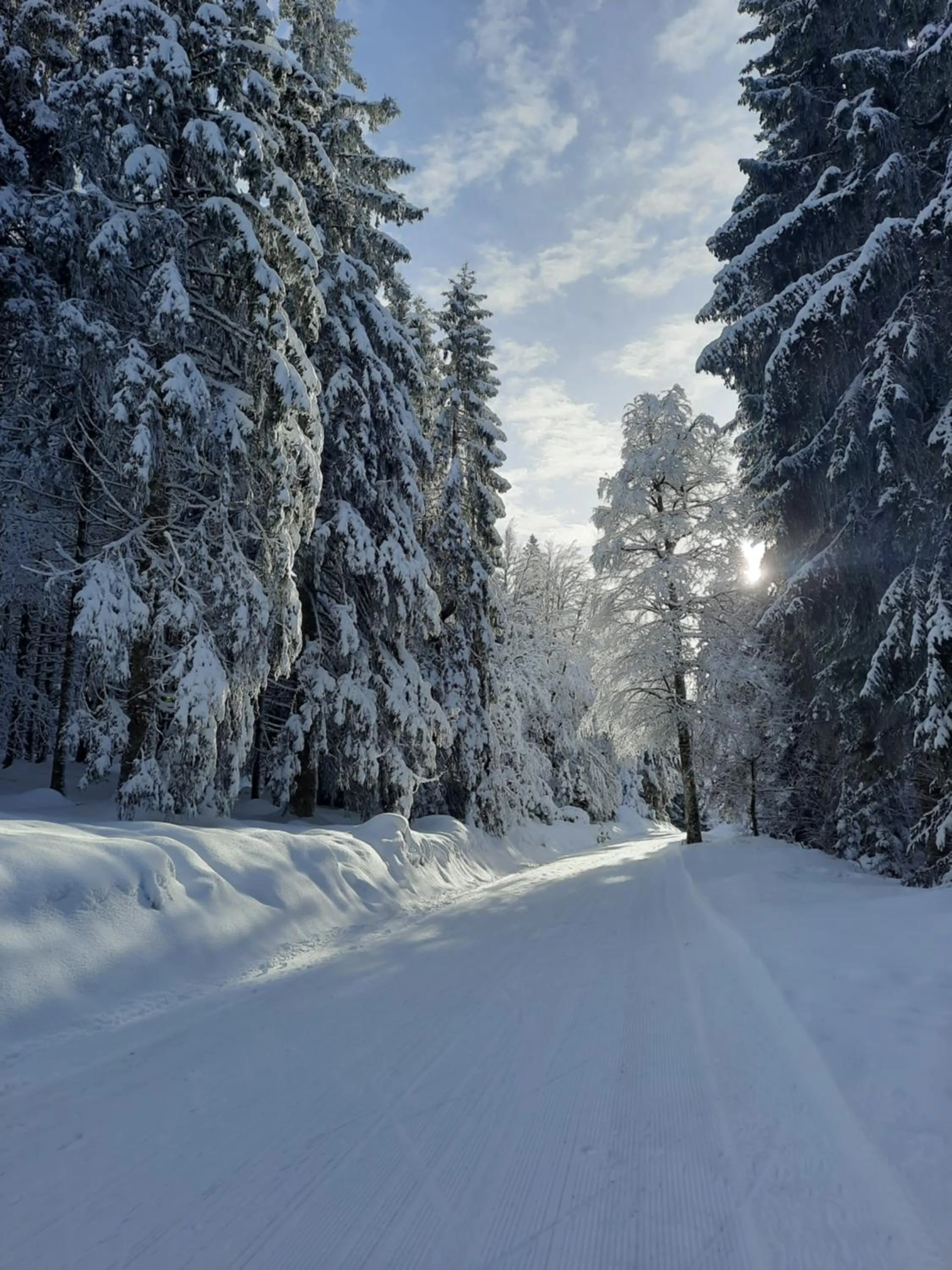 Natural landscape in Au Cœur des Lacs - Chambres d'hôtes