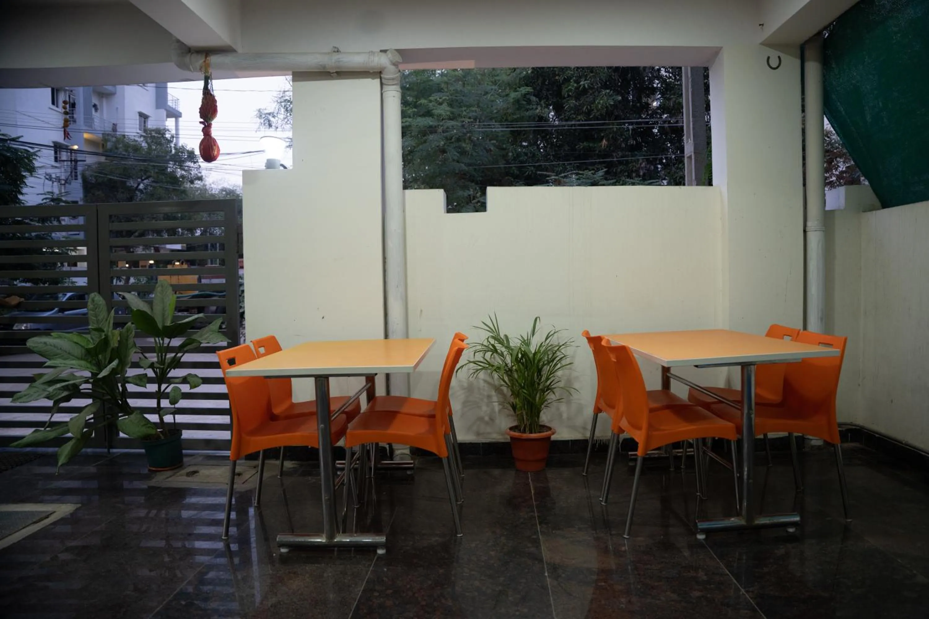 Yellow Bells Gachibowli