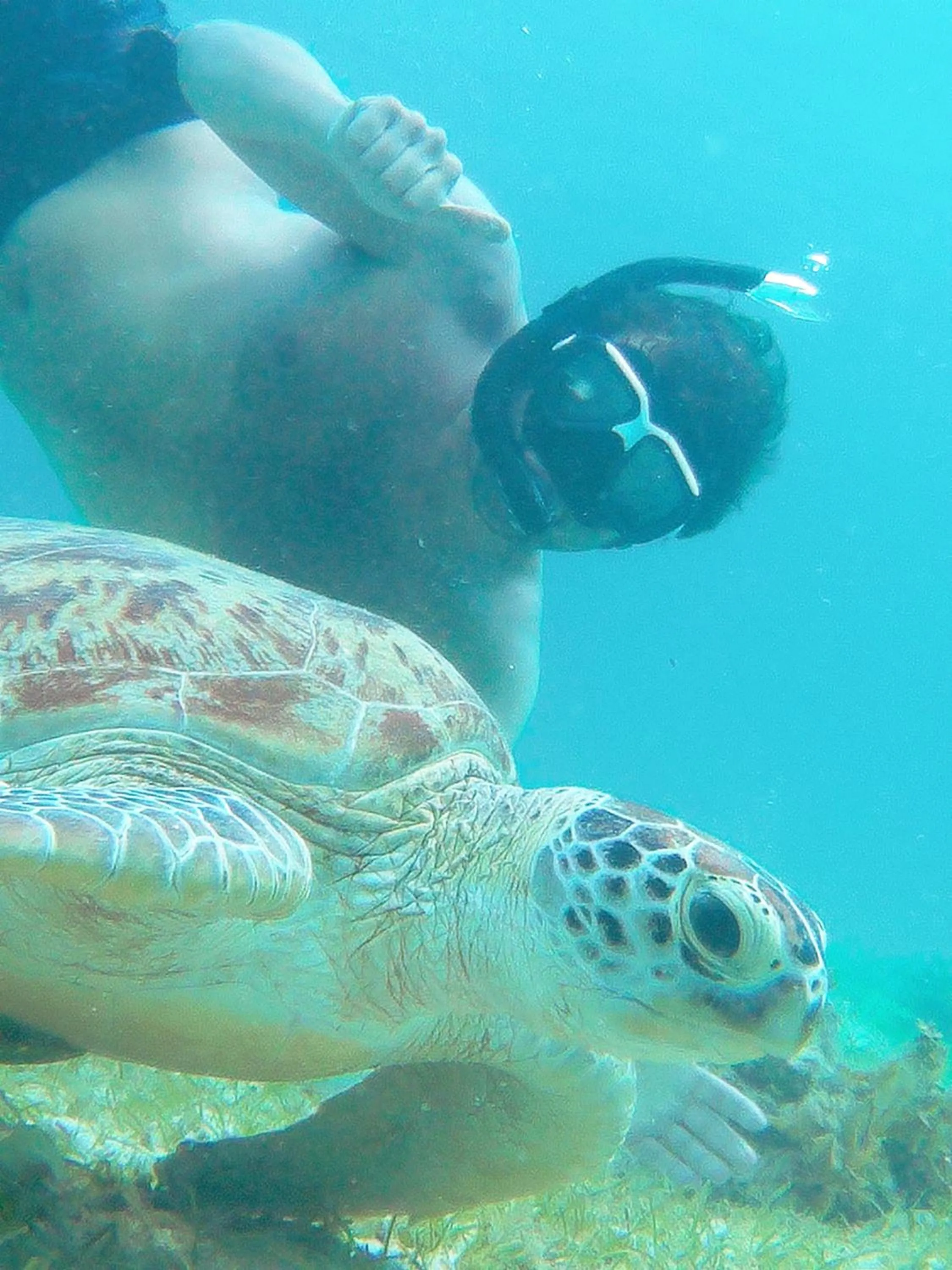 Off site in Ausan Beach Front Cottages