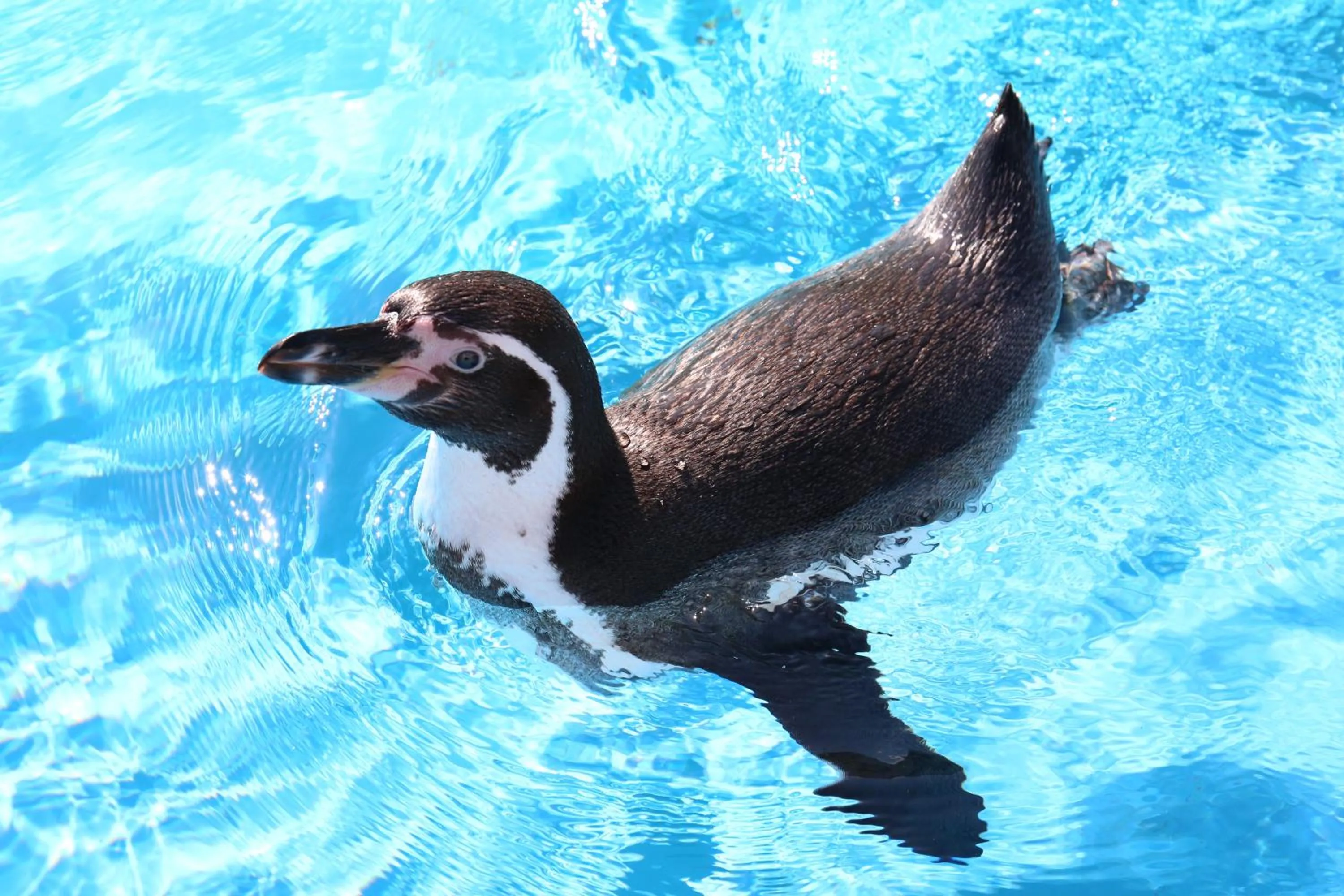 Nearby landmark in Grand Mercure Ise-shima Resort & Spa