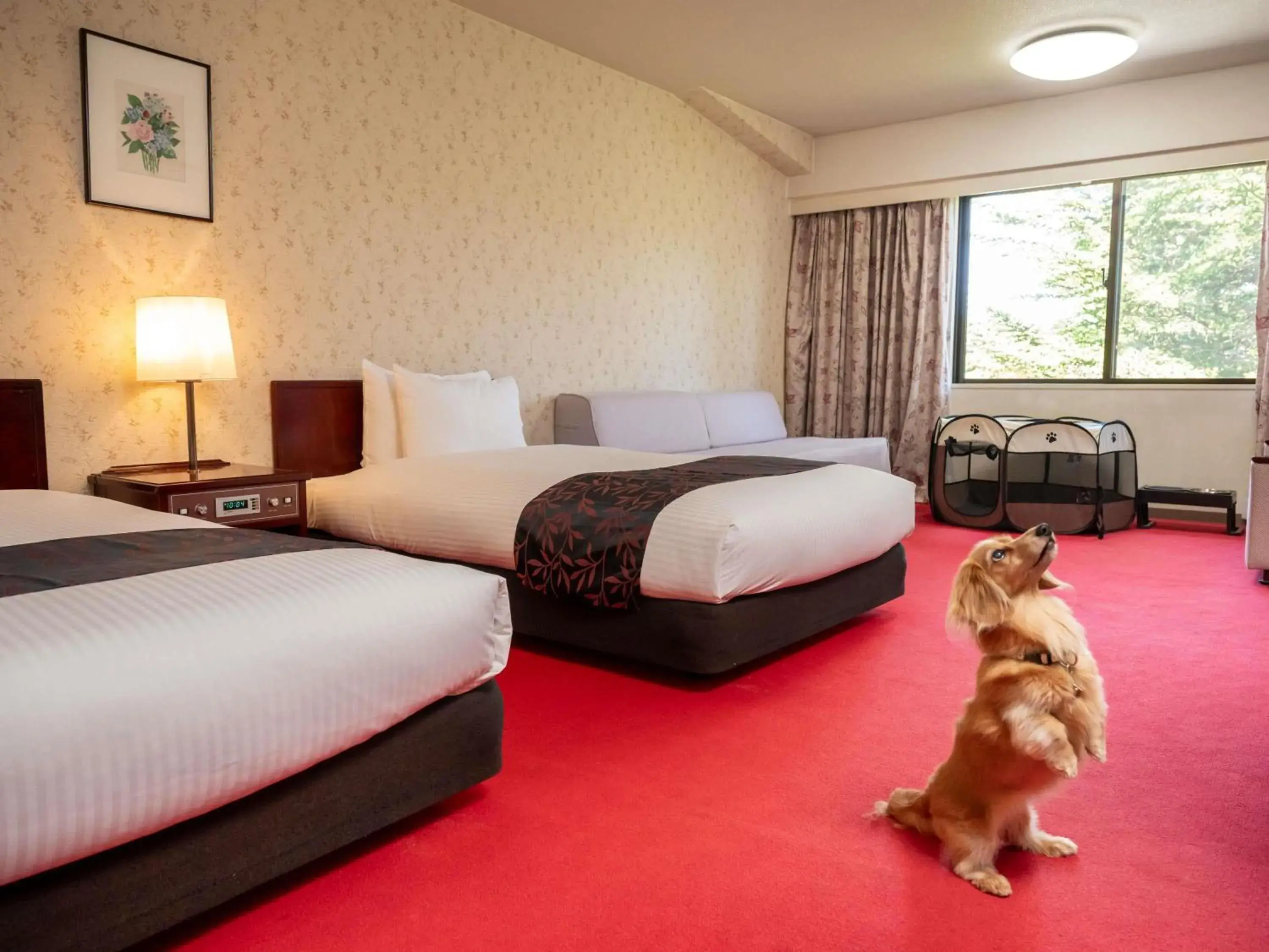 Classic Room with Two Single Beds and One Sofa Bed - Dog-Friendly in Mercure Urabandai Resort & Spa Classic Room with Two Single Beds and One Sofa Bed - Dog-Friendly in Mercure Urabandai Resort & Spa