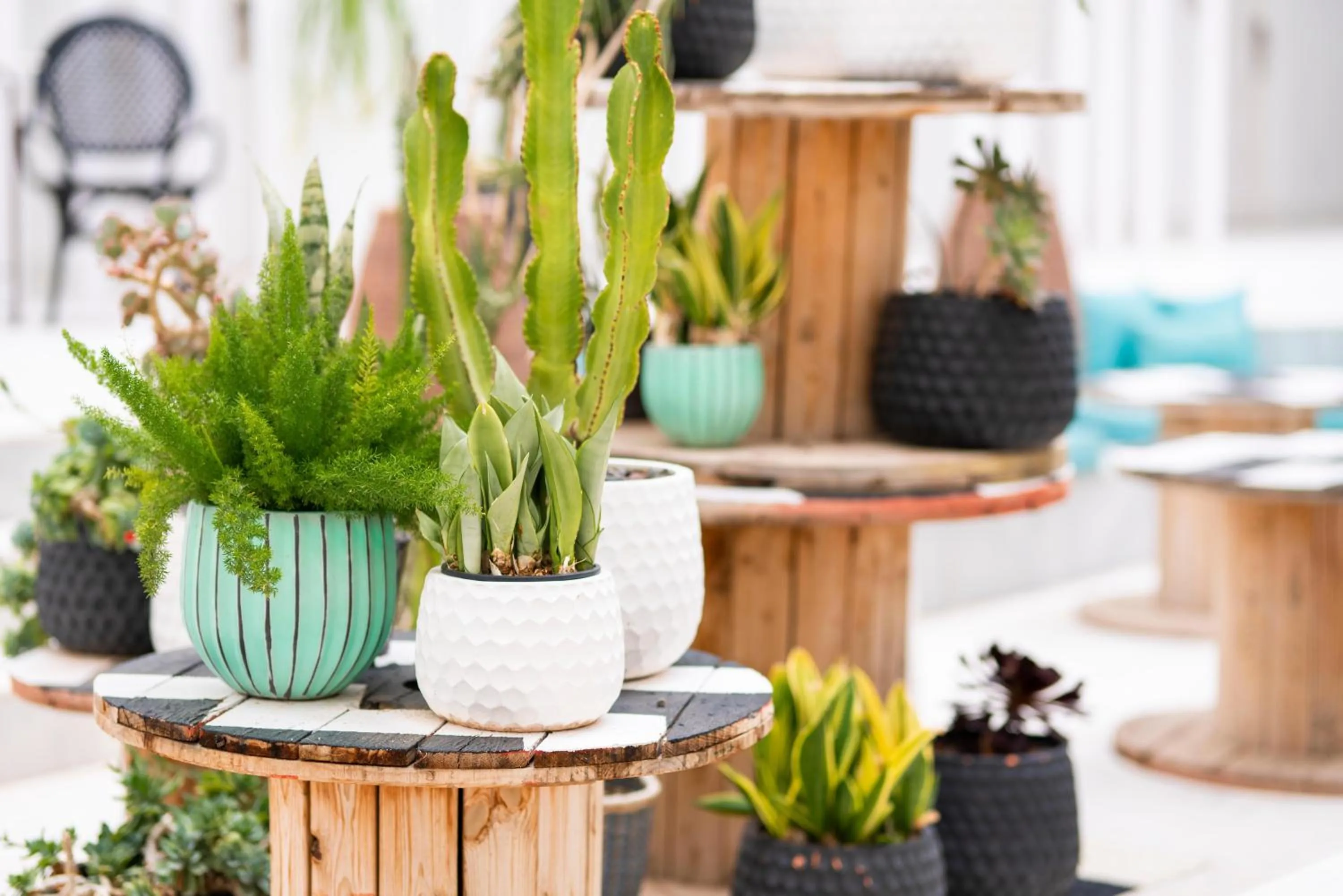 Lobby or reception in Gold By Marina - Adults only