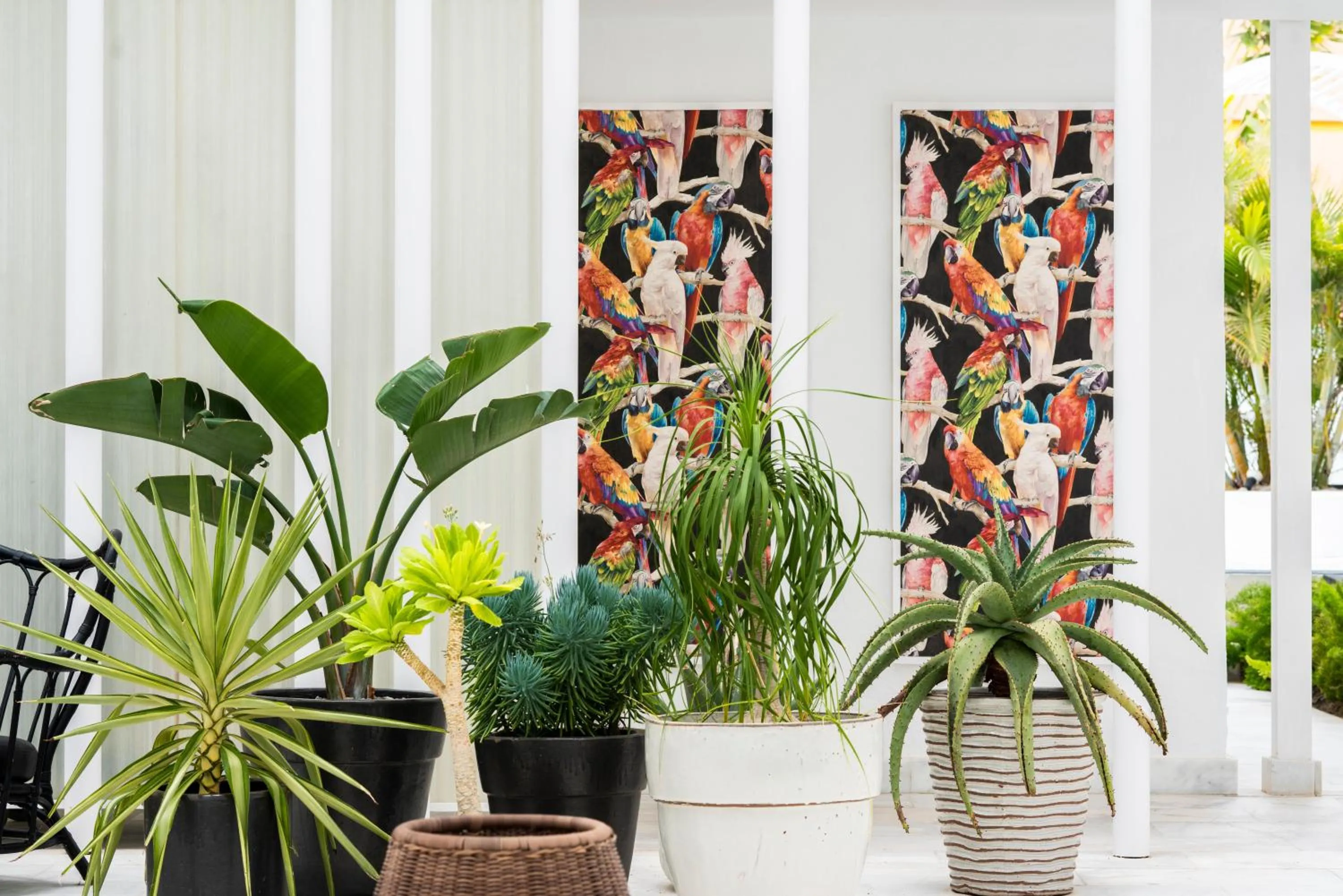 Lobby or reception in Gold By Marina - Adults only