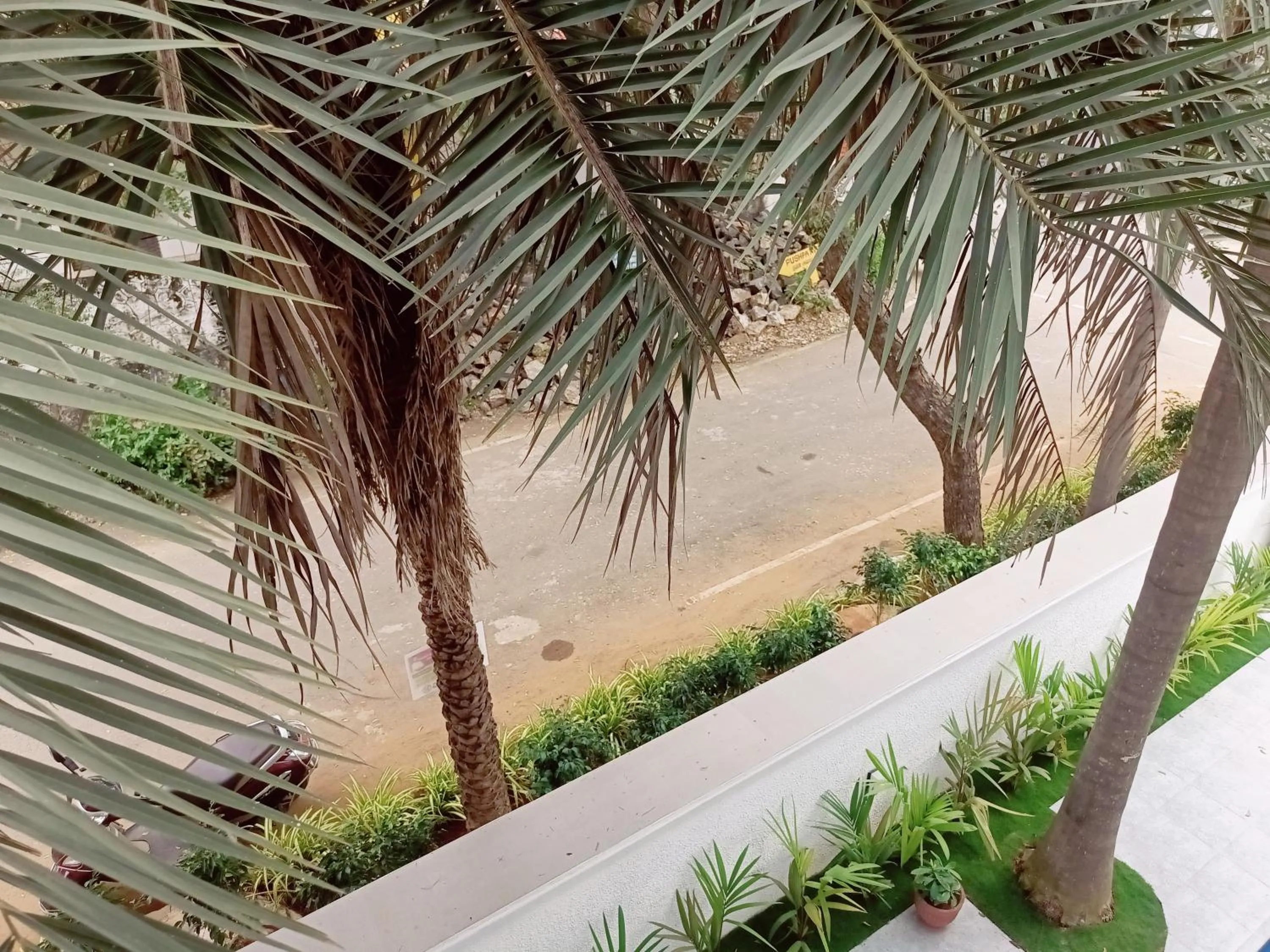 Day in Bay Breeze Suites