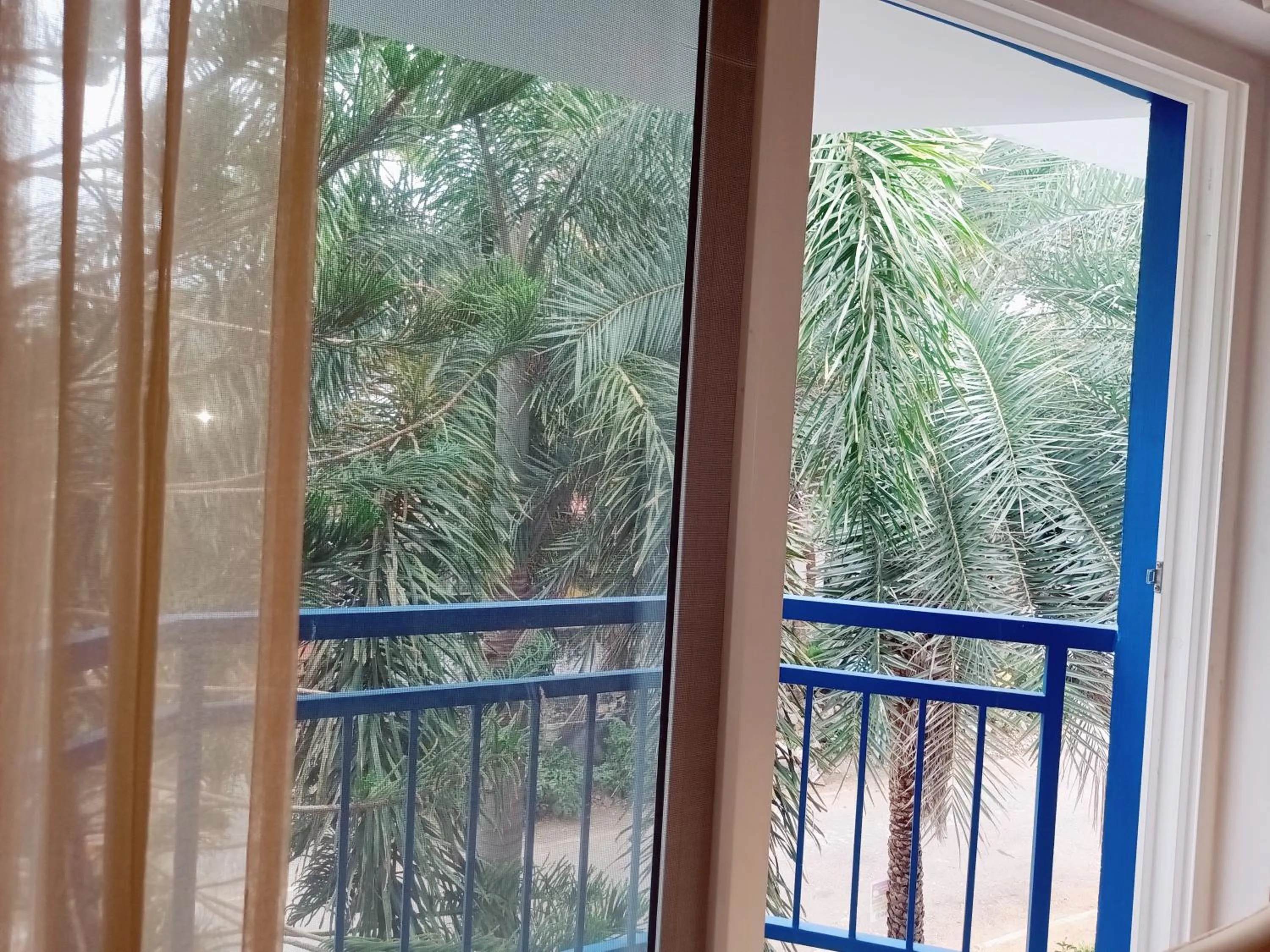 Day in Bay Breeze Suites