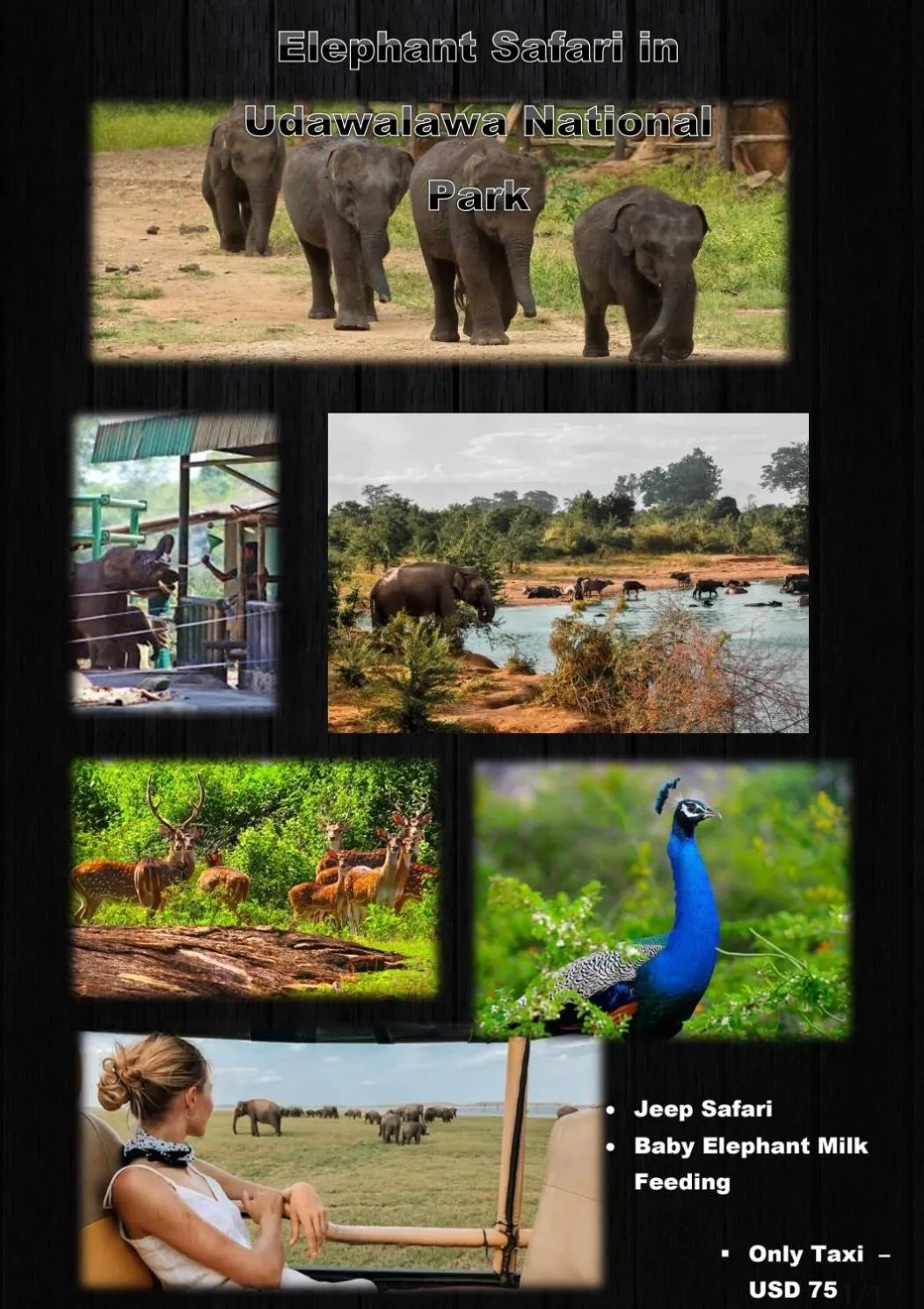 RKO Villa27 - Unawatuna