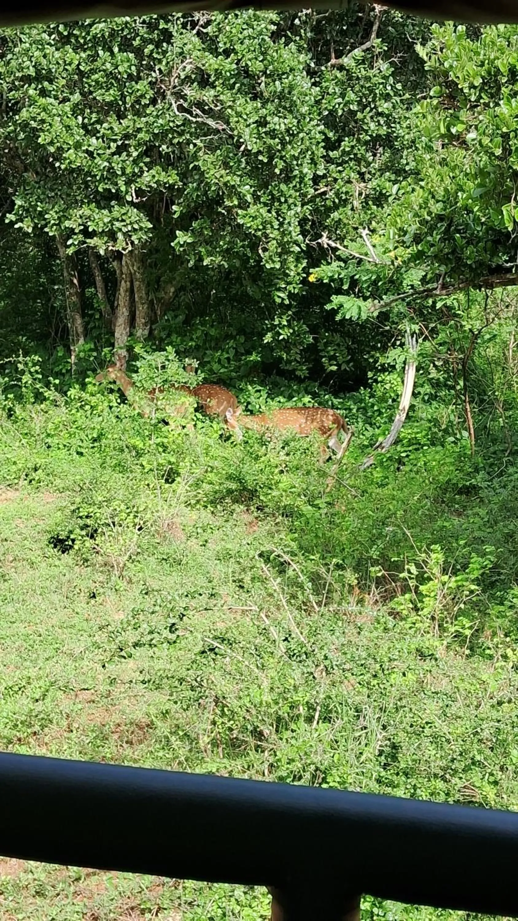 RKO Villa27 - Unawatuna