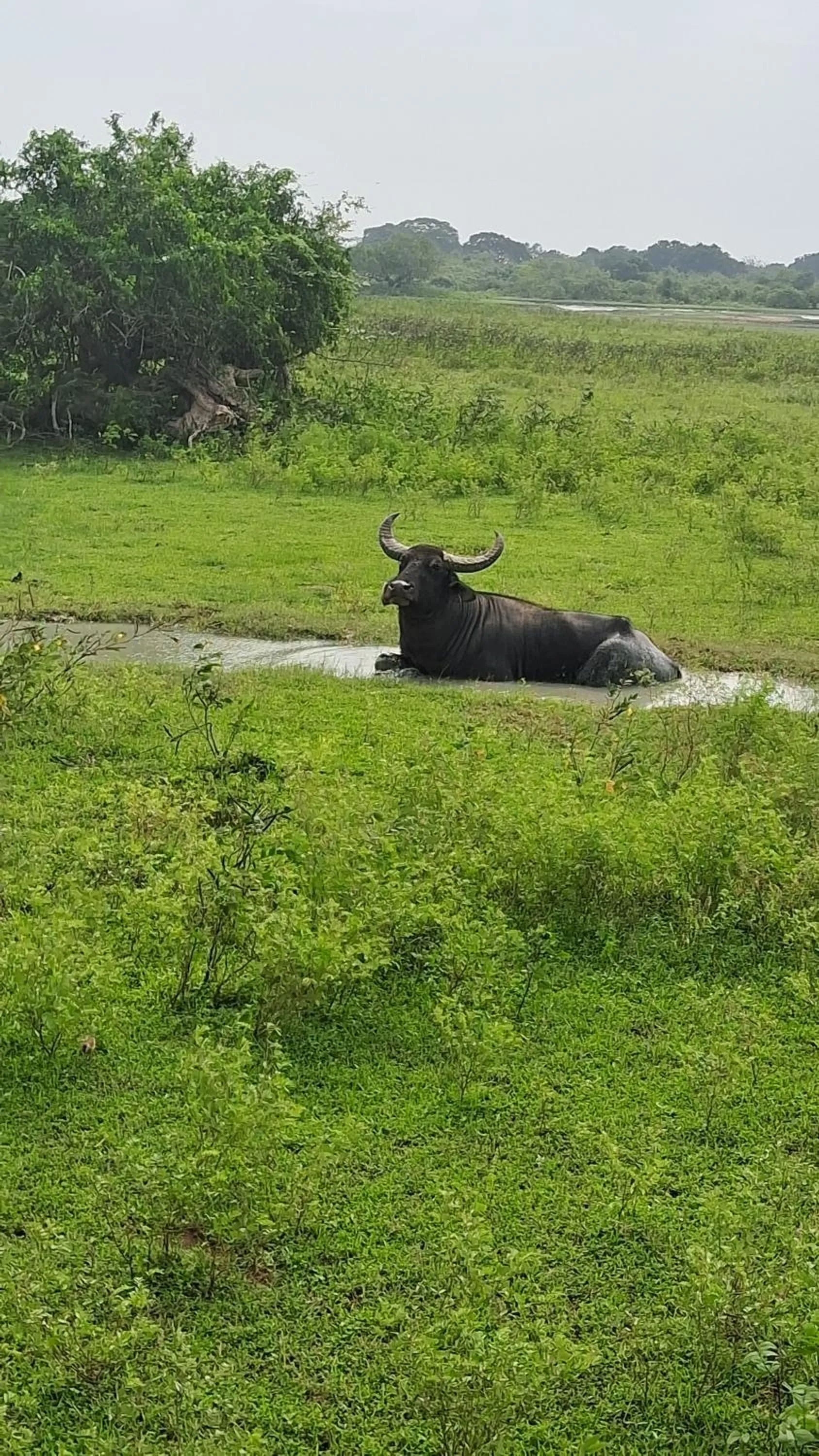 RKO Villa27 - Unawatuna