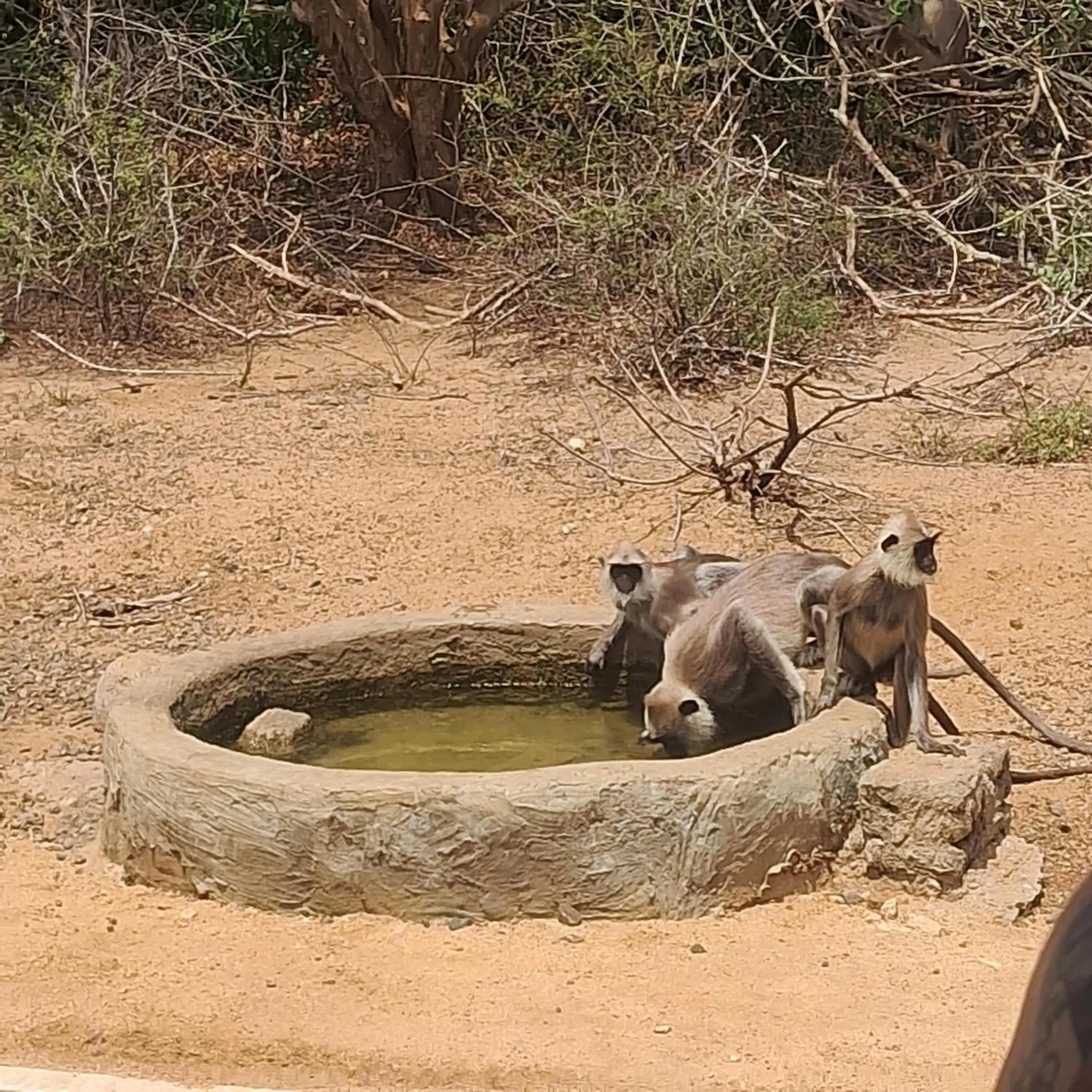 RKO Villa27 - Unawatuna