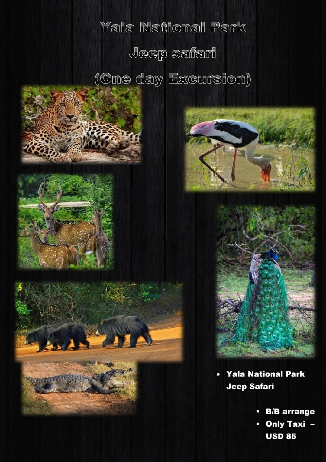 RKO Villa27 - Unawatuna