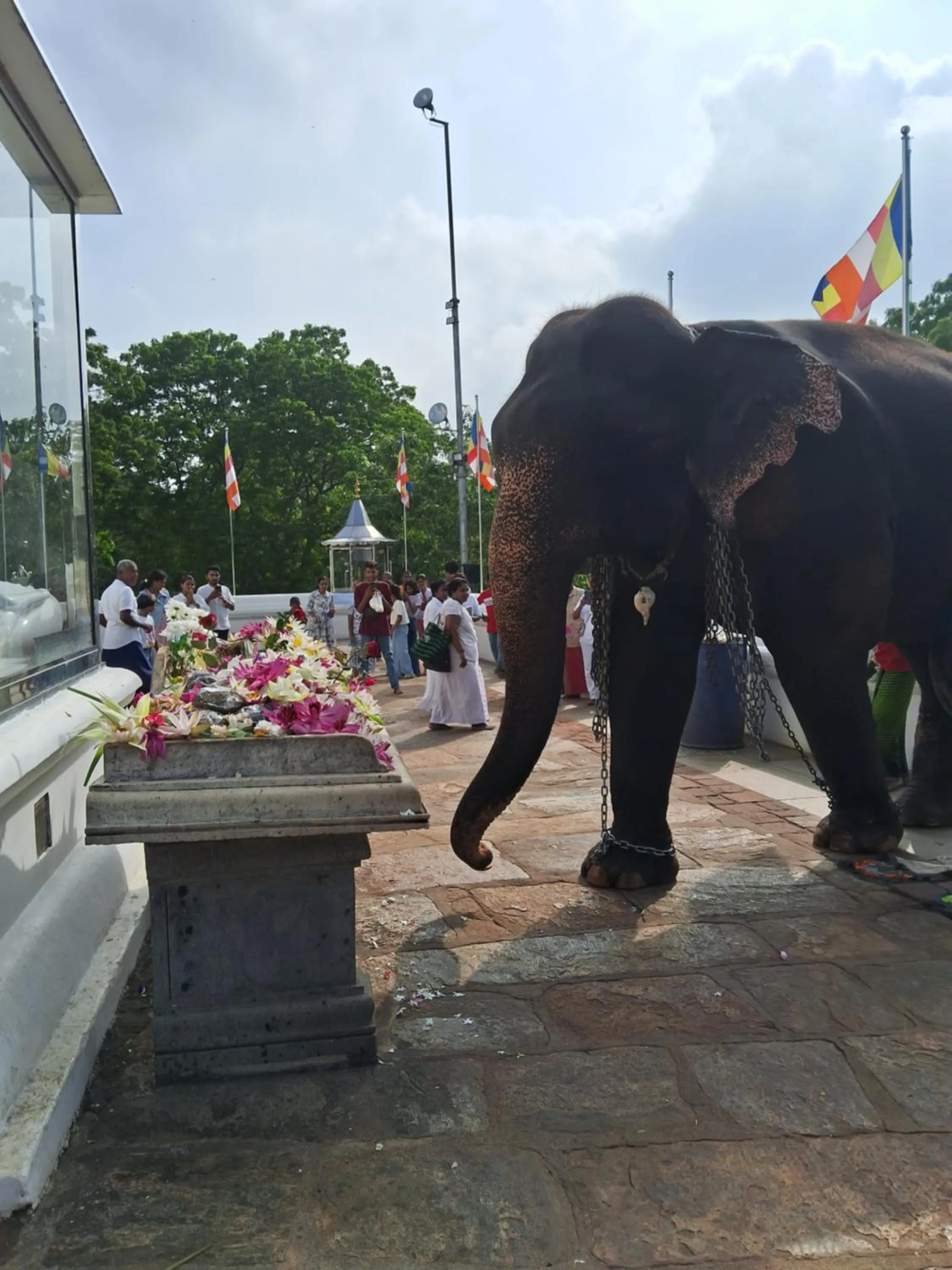 RKO Villa27 - Unawatuna