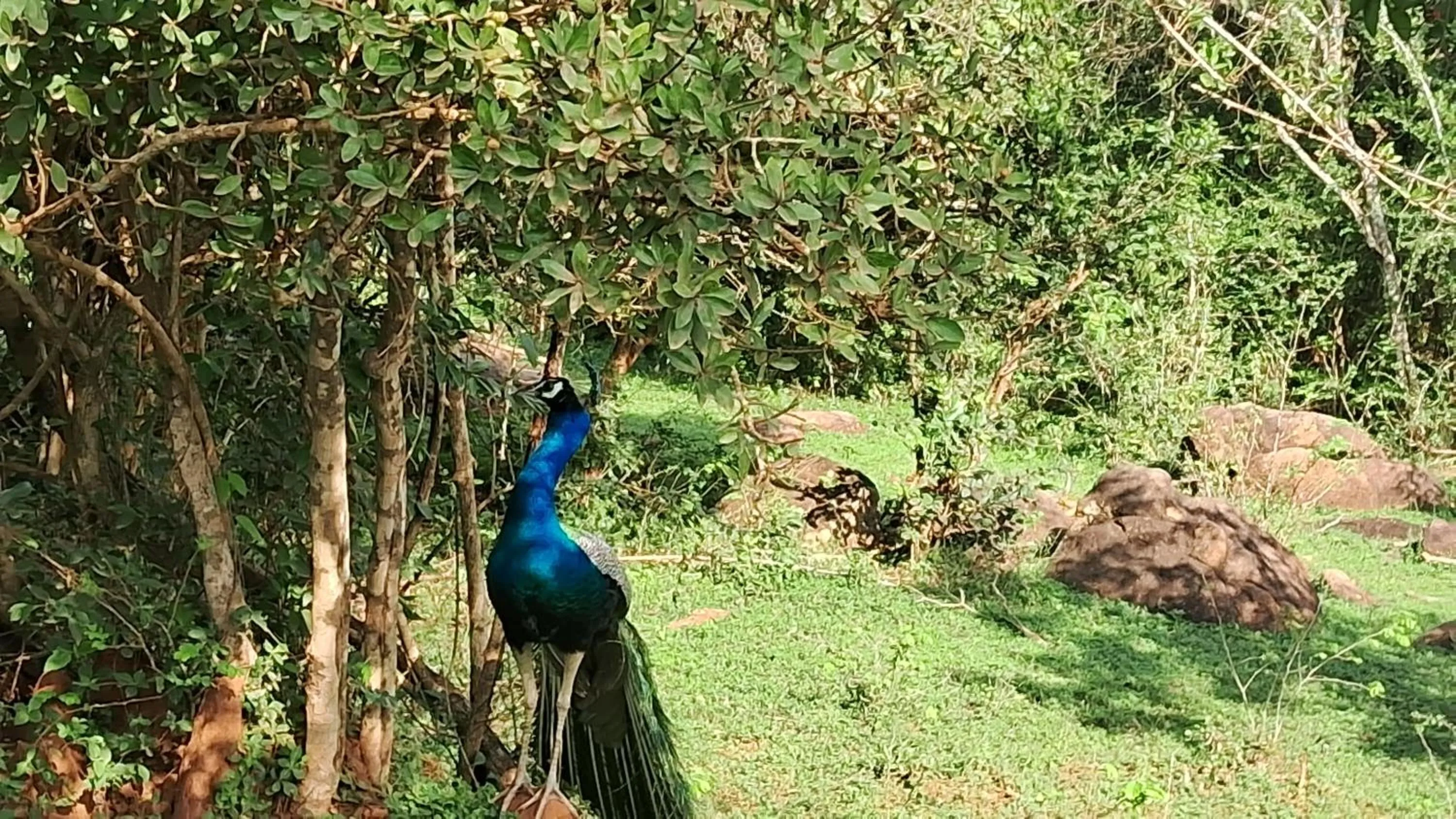 RKO Villa27 - Unawatuna