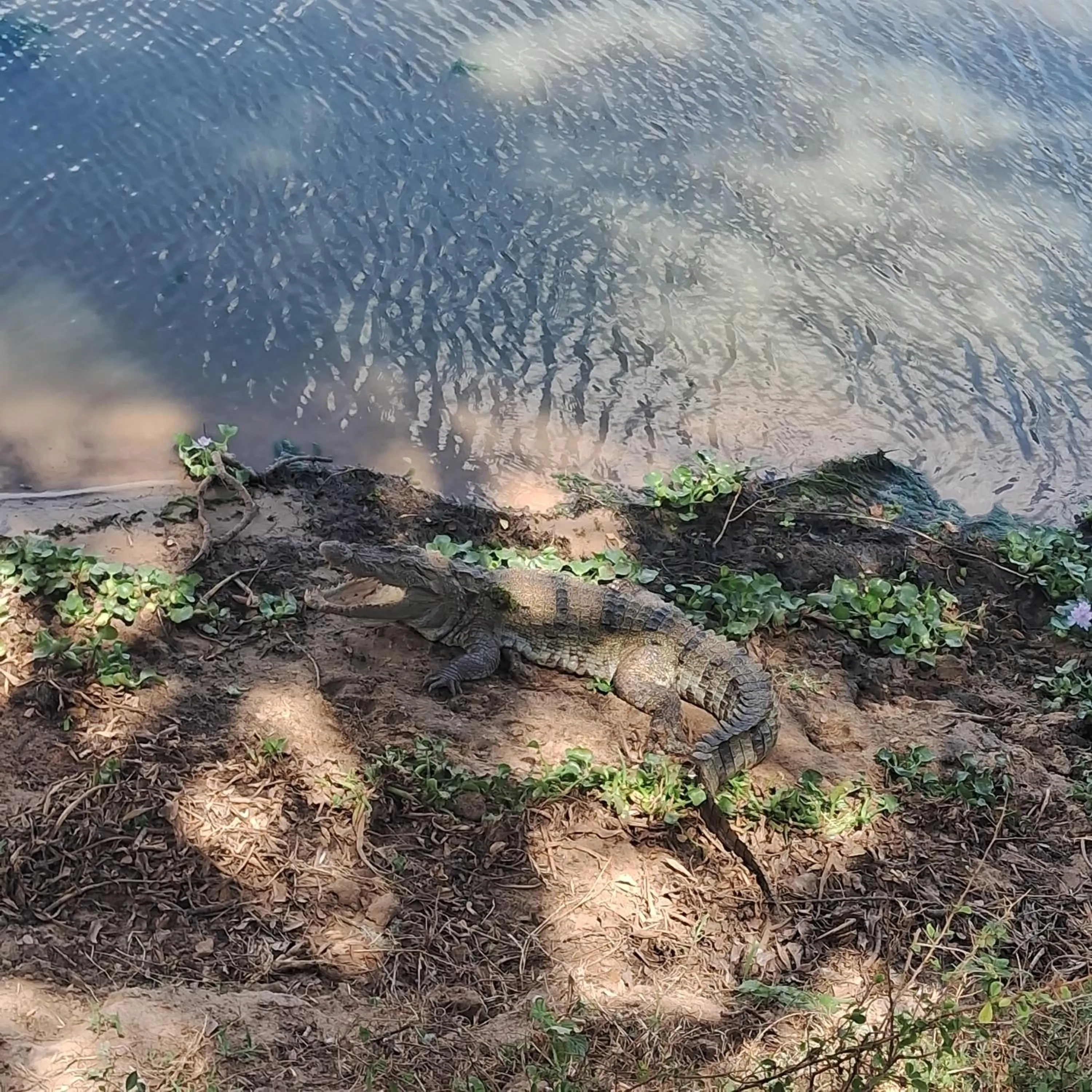 RKO Villa27 - Unawatuna